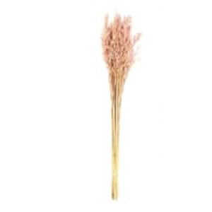 Dried flowers