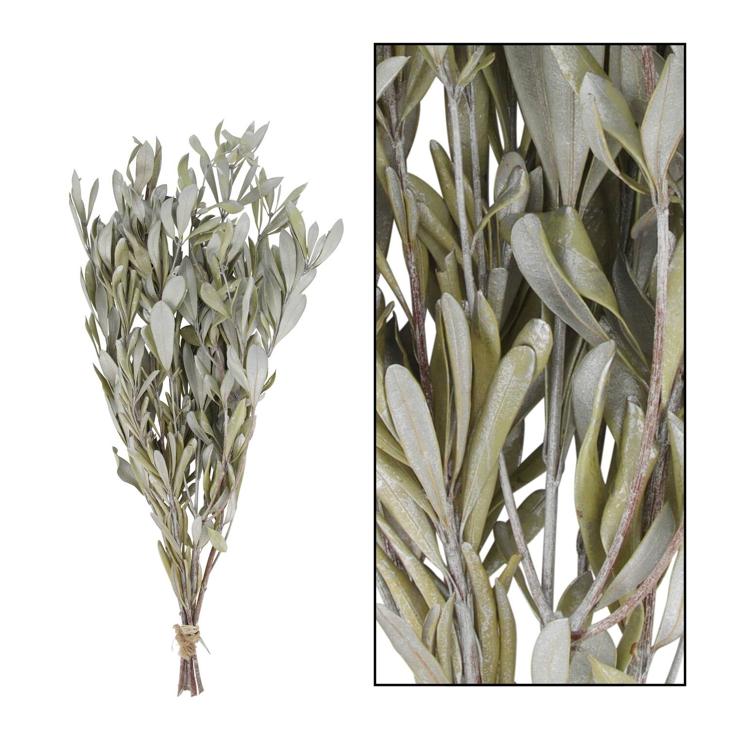 Dried flower mealy banksia foliage 80gr nature 60x30x10cm - Silver