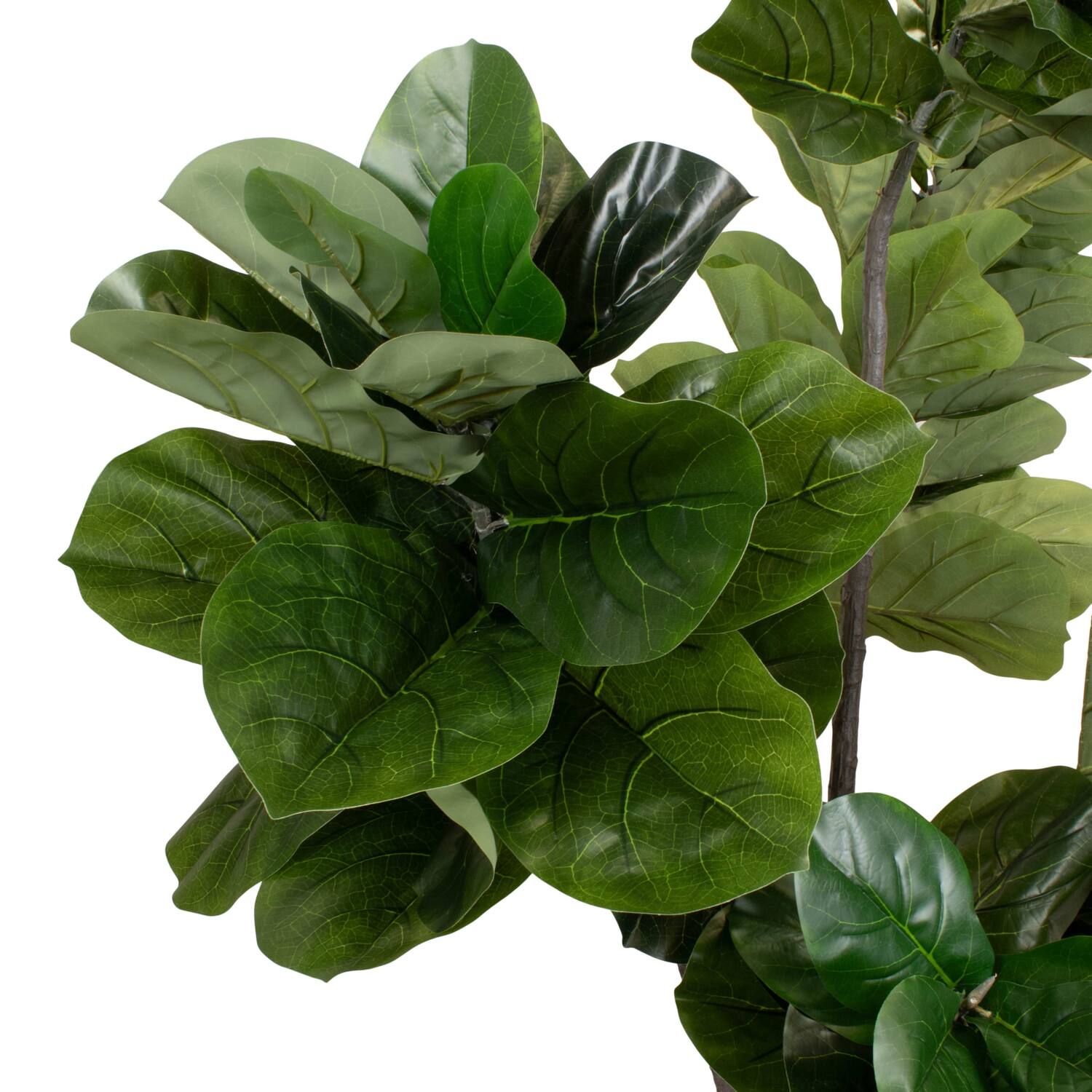 Plant ficus lyrata artificial 100x90x230cm - Green