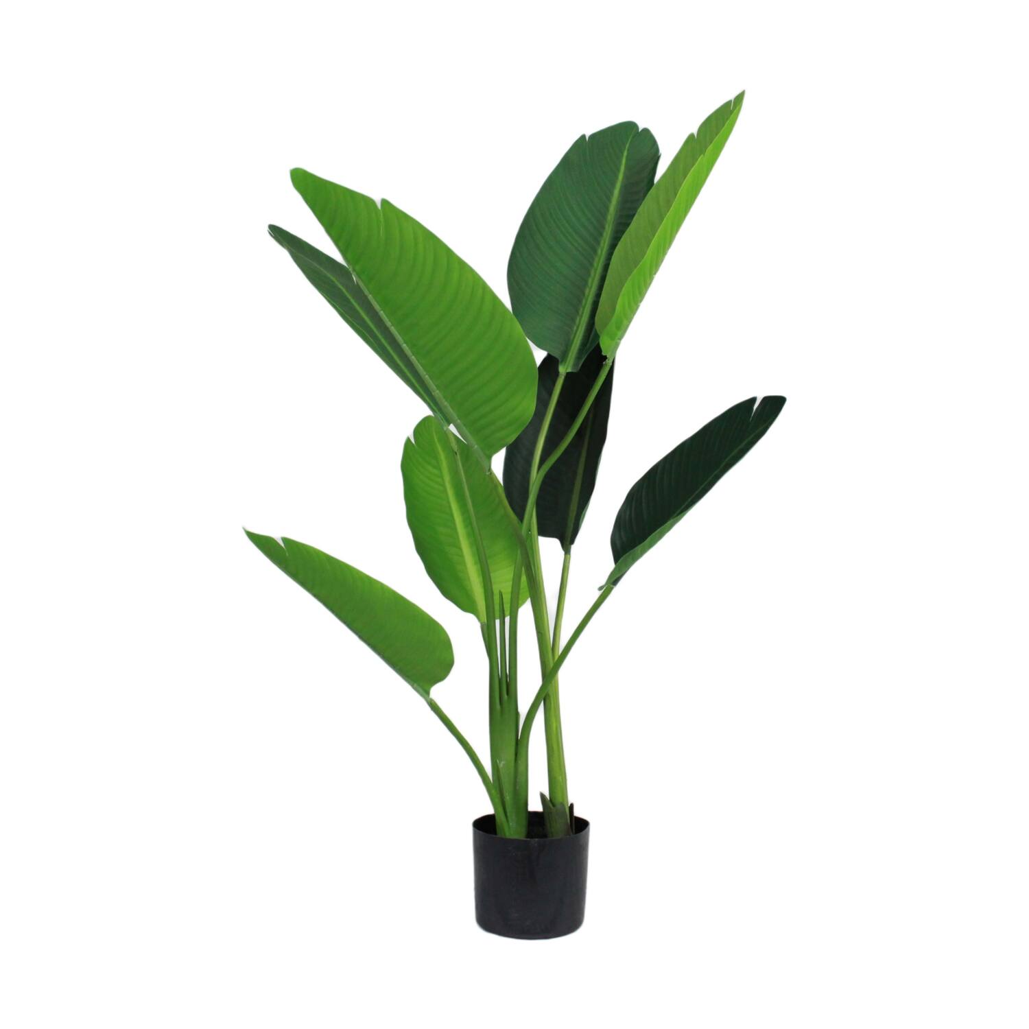 Plant strelitzia artificial 75x80x119cm - Green