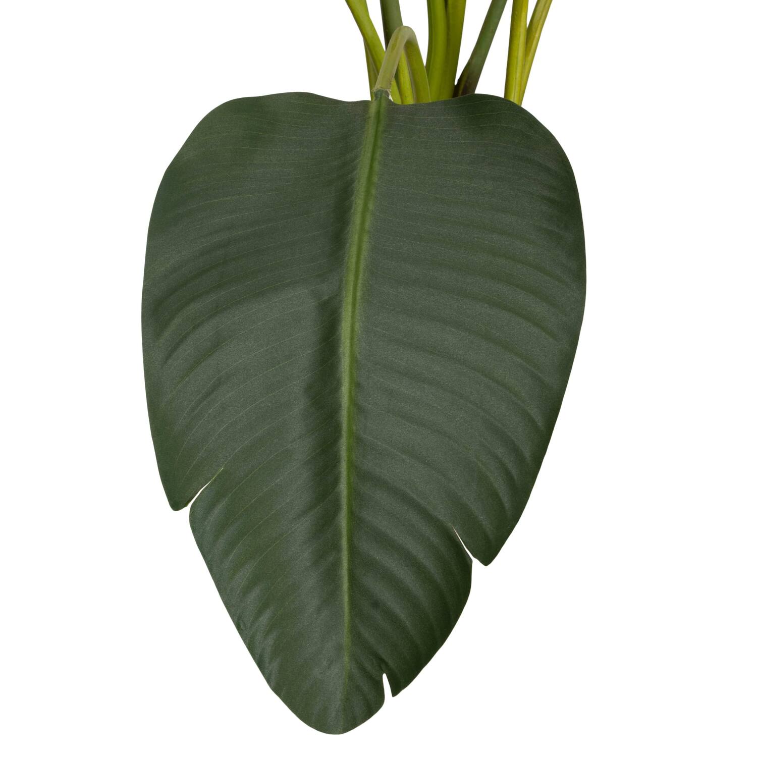 Plant strelitzia artificial 90x80x155cm