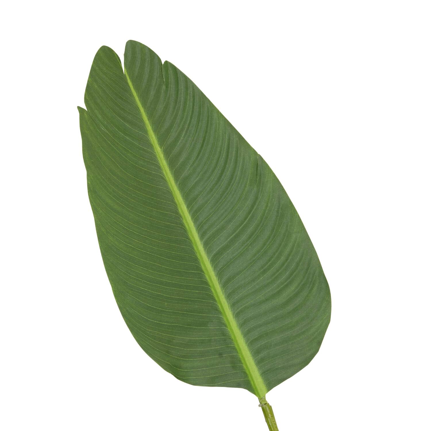Plant strelitzia artificial 90x80x155cm