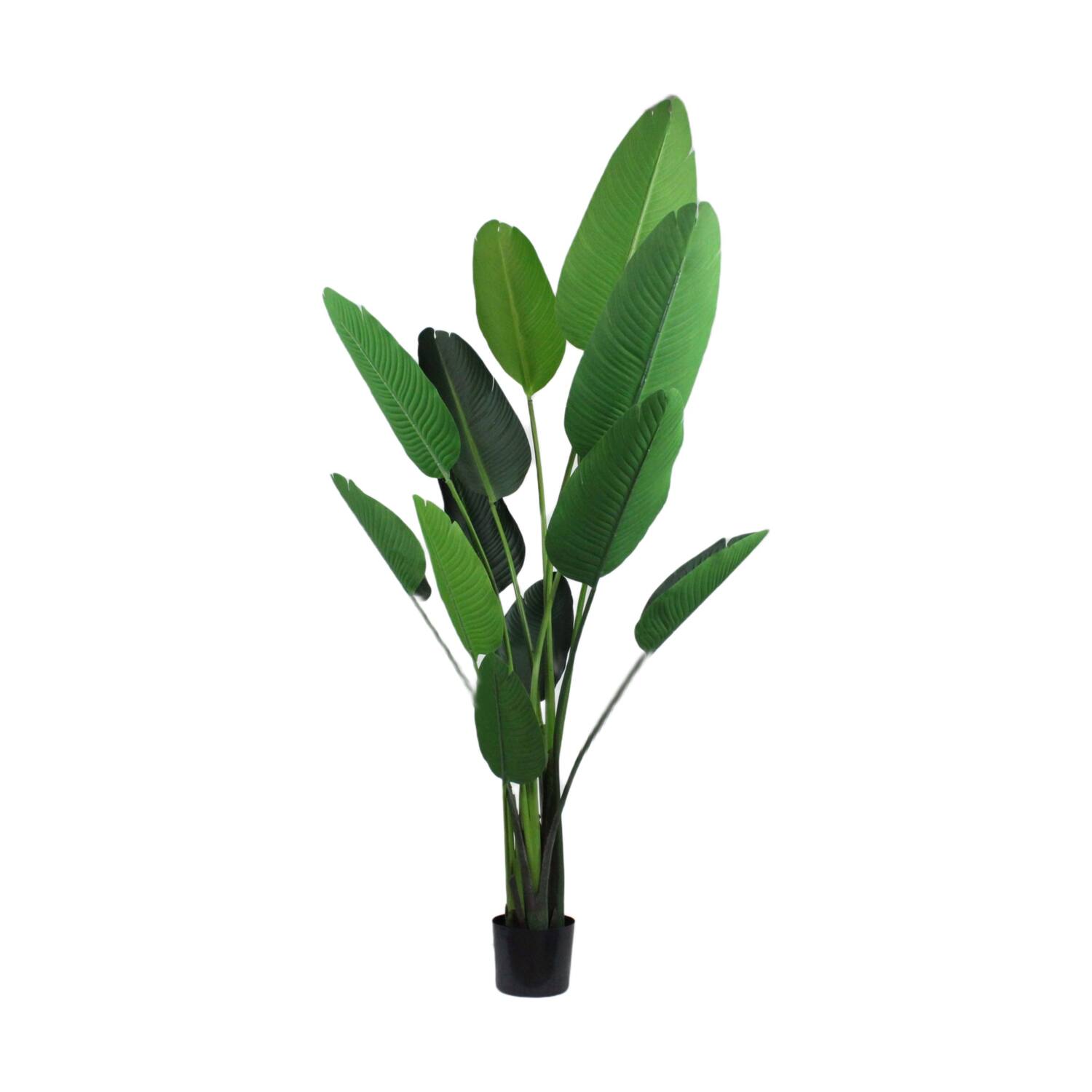 Plant strelitzia artificial 110x90x190cm - Green