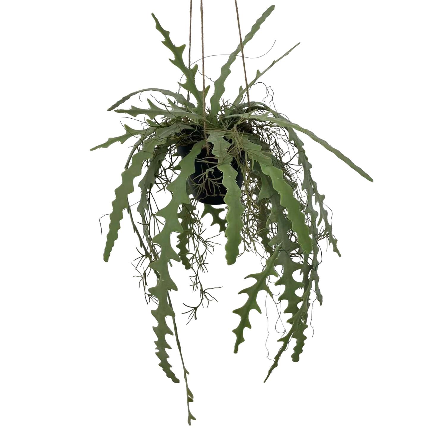 Plant hanging fern artificial 45x45x110cm - Green