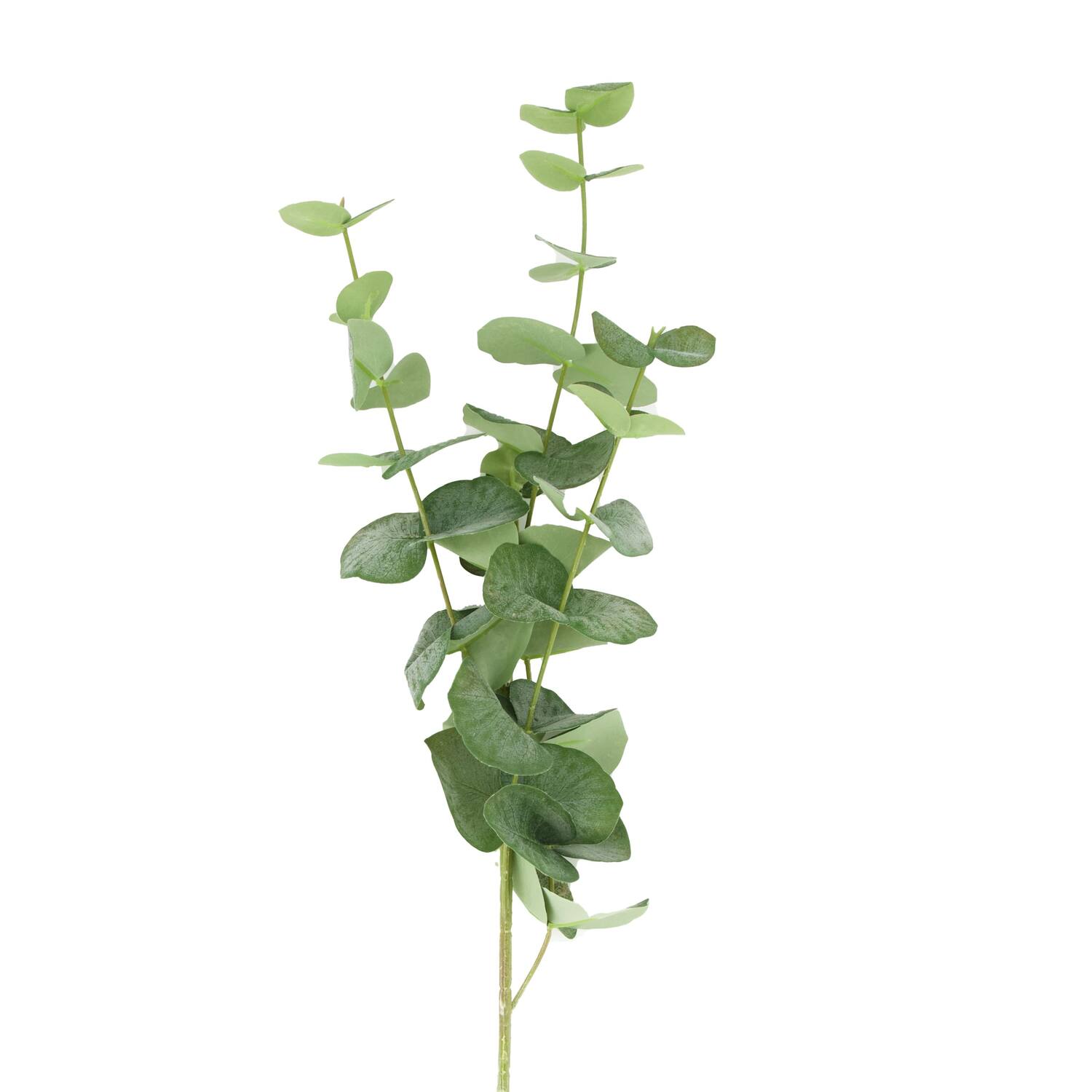 Branch eucalyptus spiral real touch artificial 78x20x10cm
