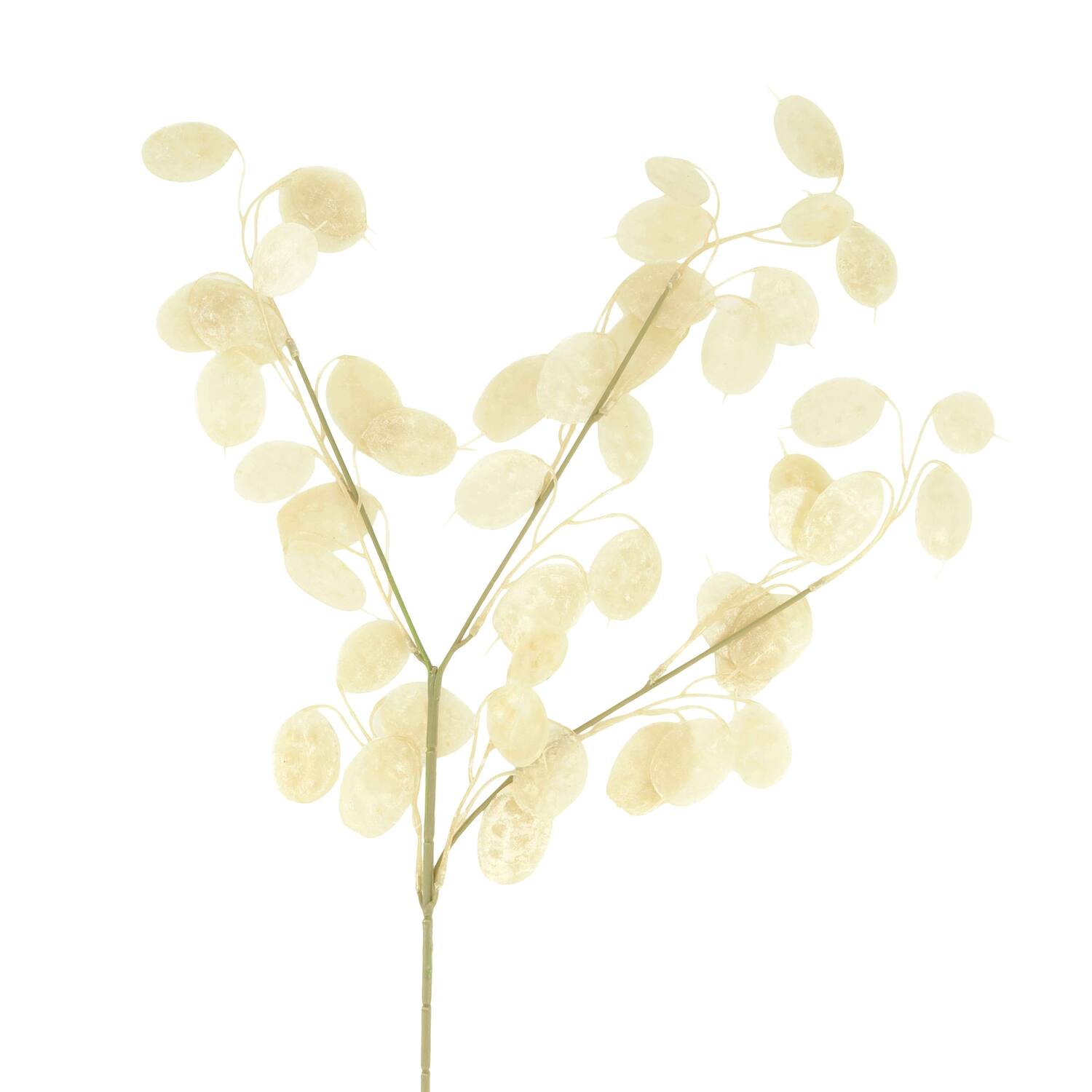 Branch lunaria artificial 75x25x2cm - White