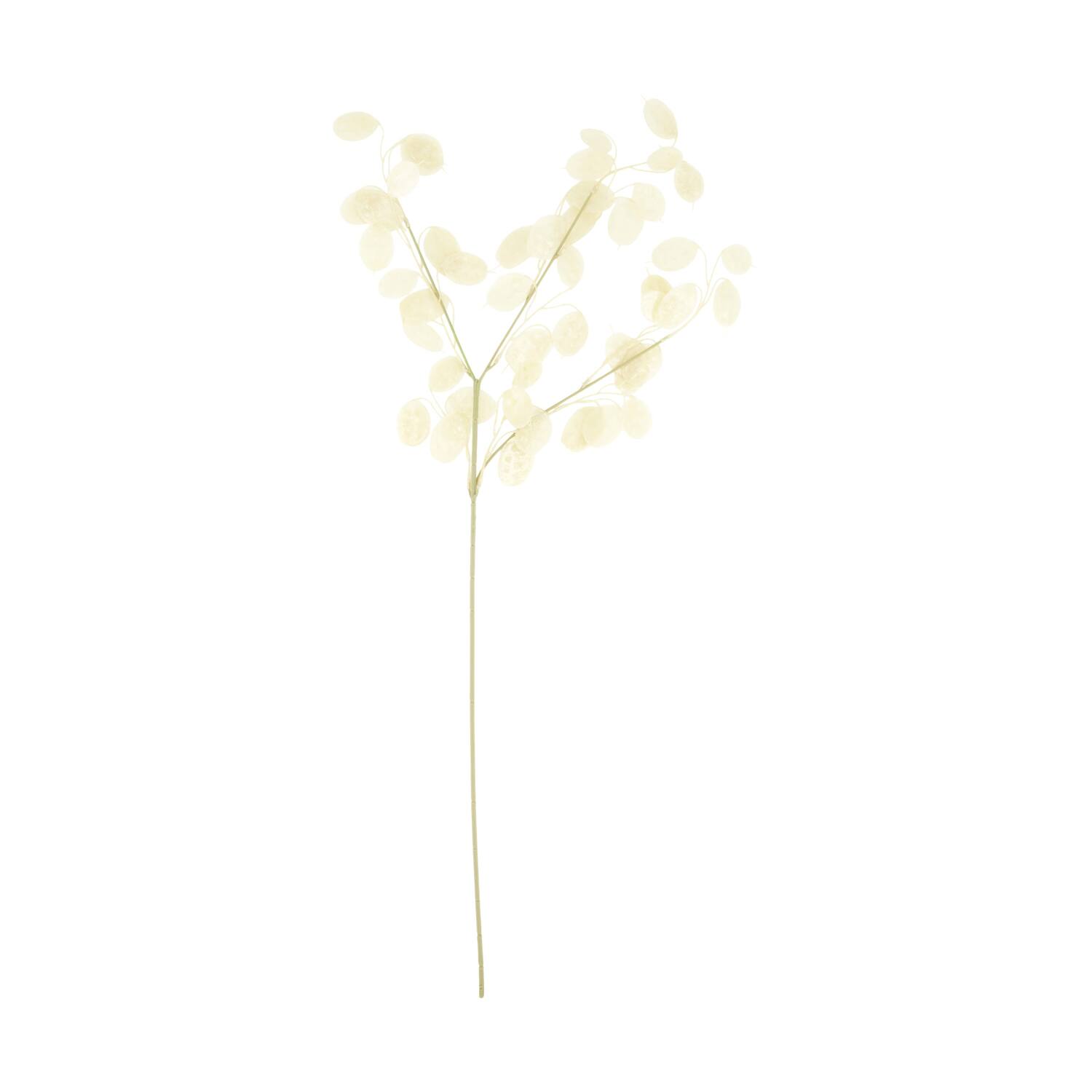 Branch lunaria artificial 75x25x2cm - White