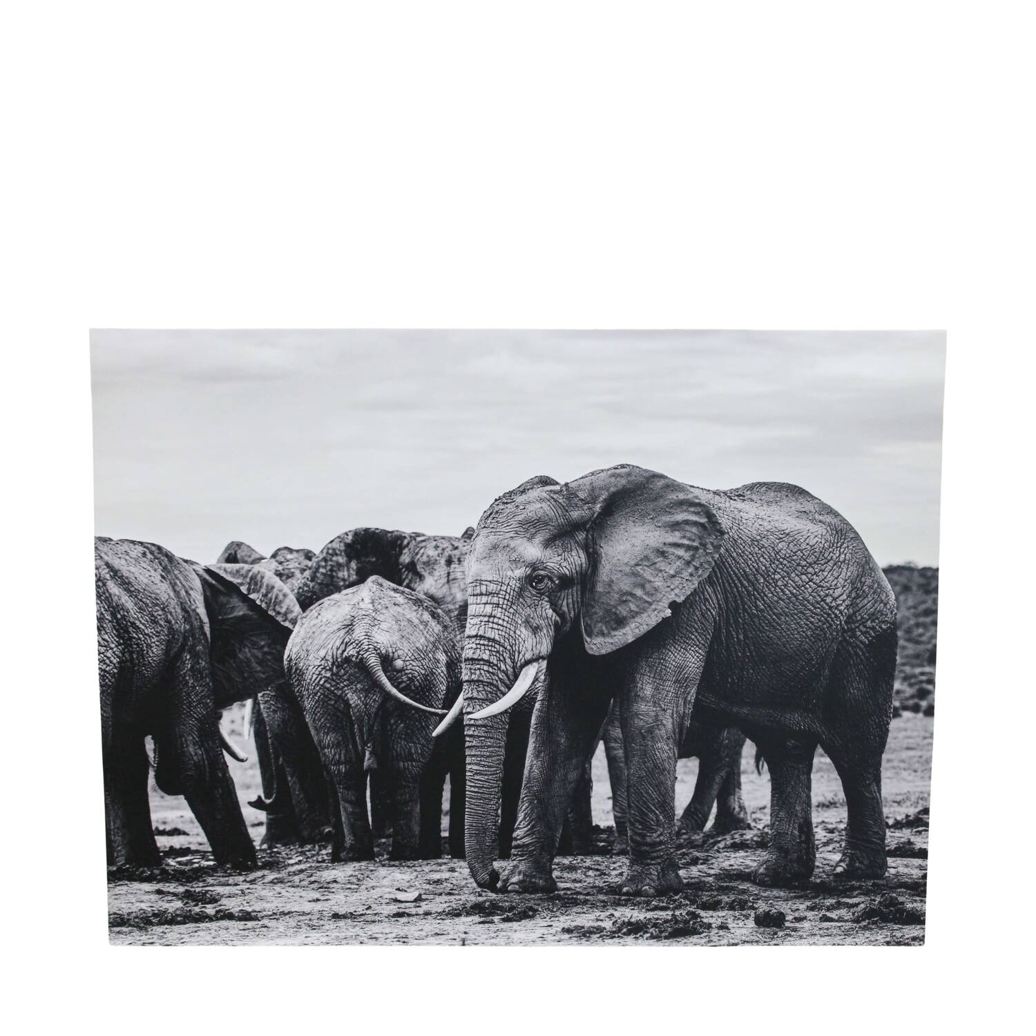 Wall art mdf 78x3x58cm