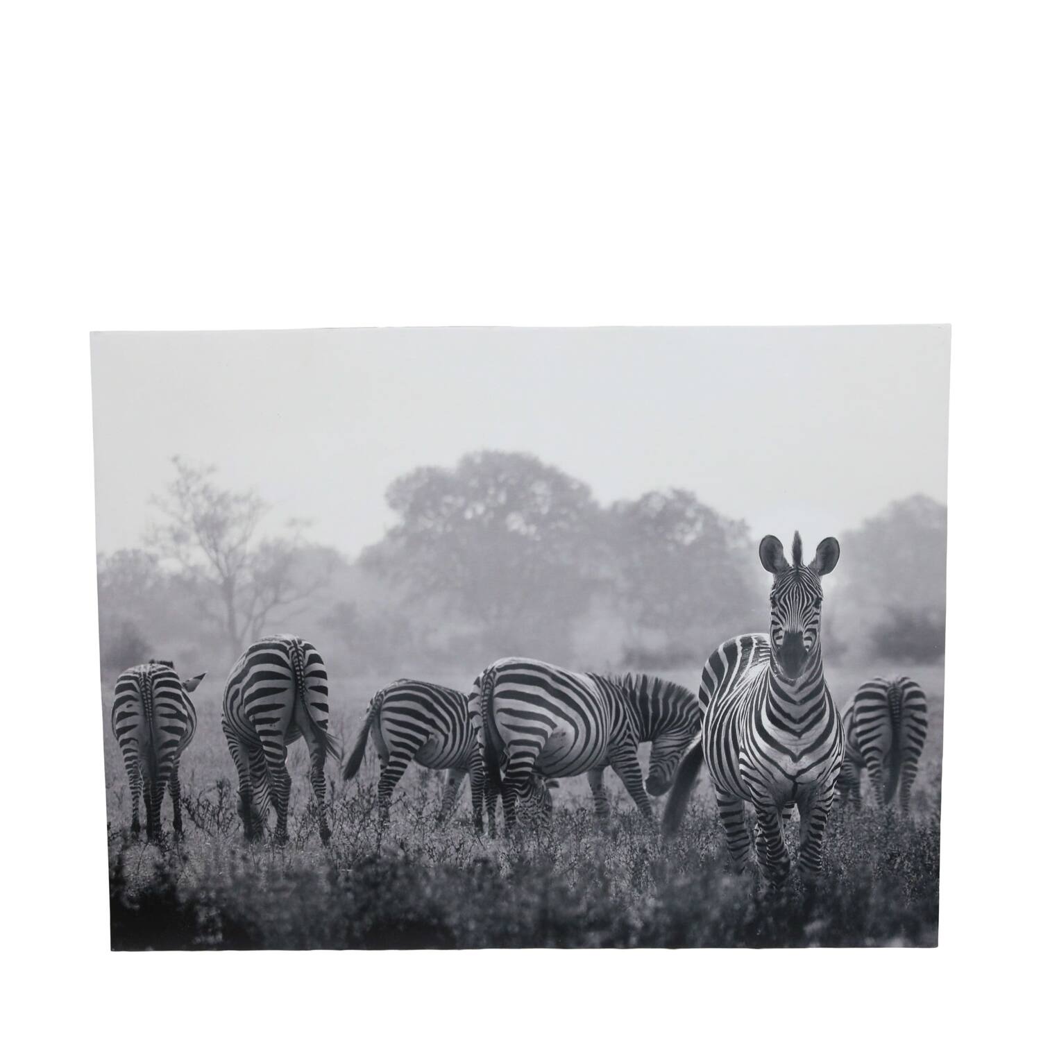 Wall art mdf 78x3x58cm