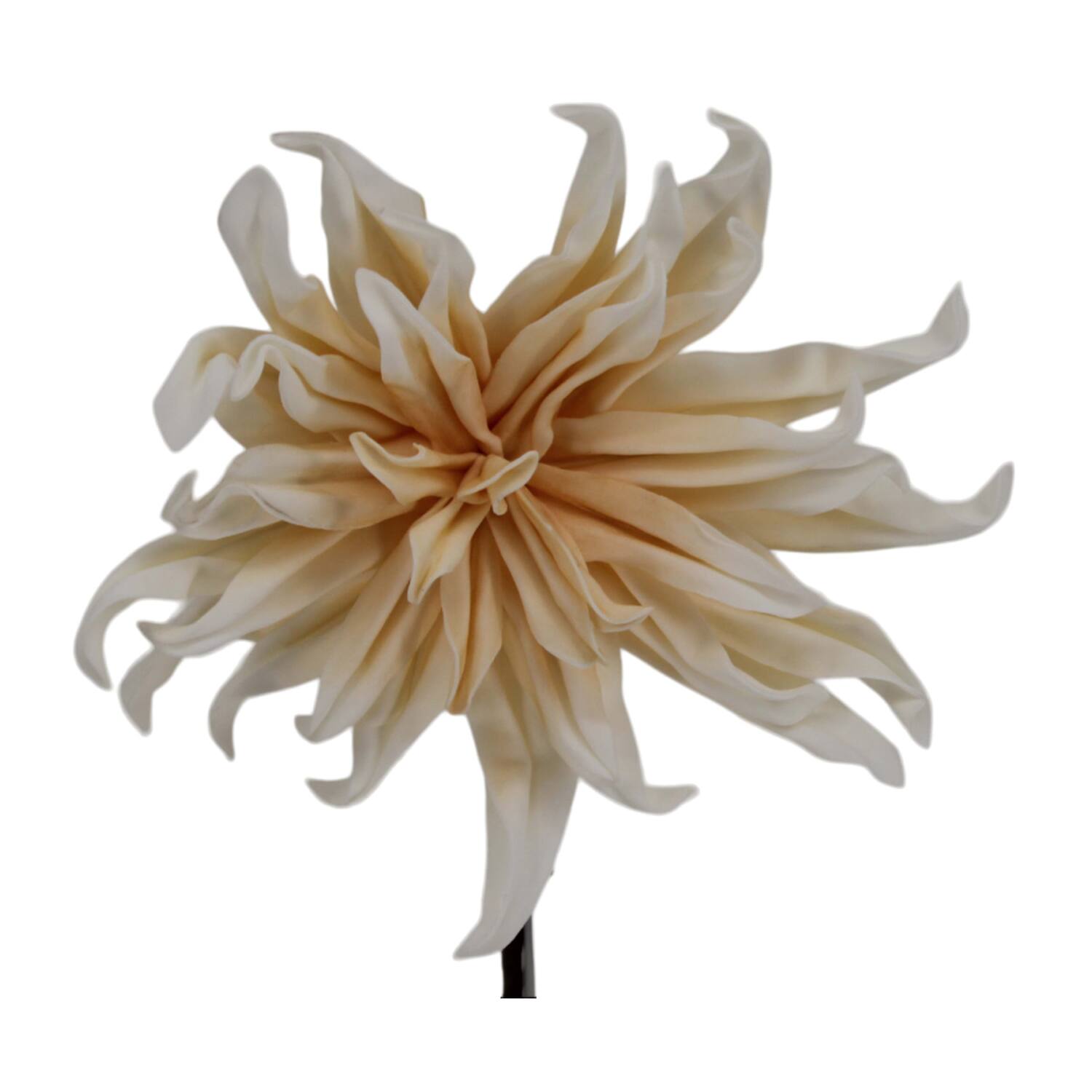 Flower dahlia foam 83x22x10cm - Cream