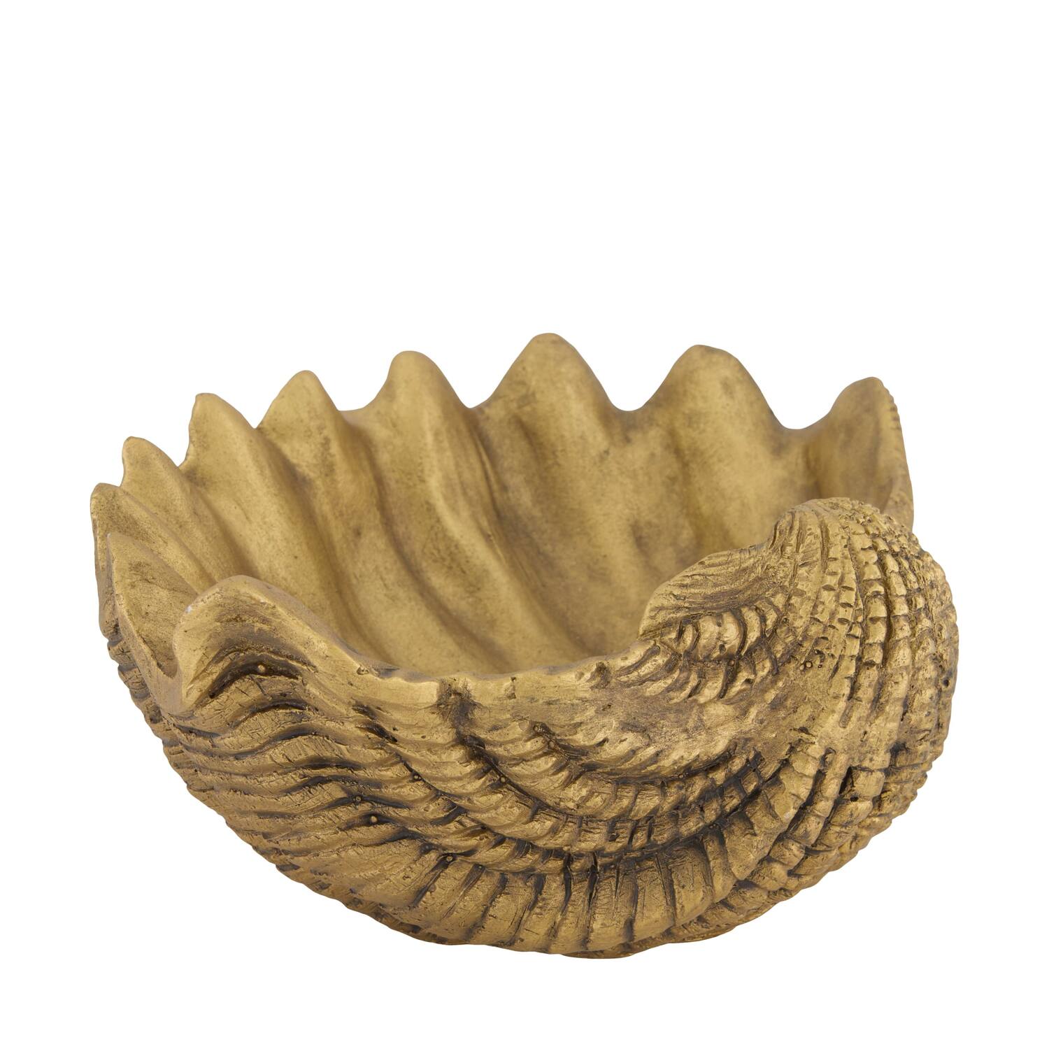 Planter seashell magnesium 34x28x14.5cm