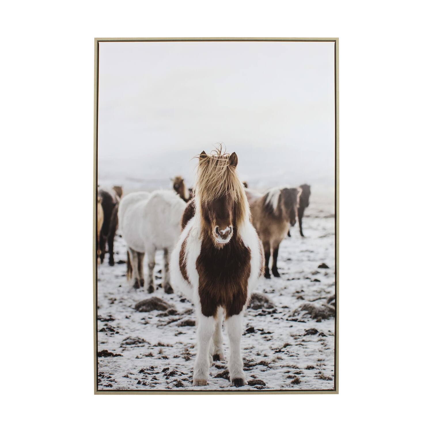 Wall art rectangular horse canvas with frame 82.6x4.3x122.6cm - Multi