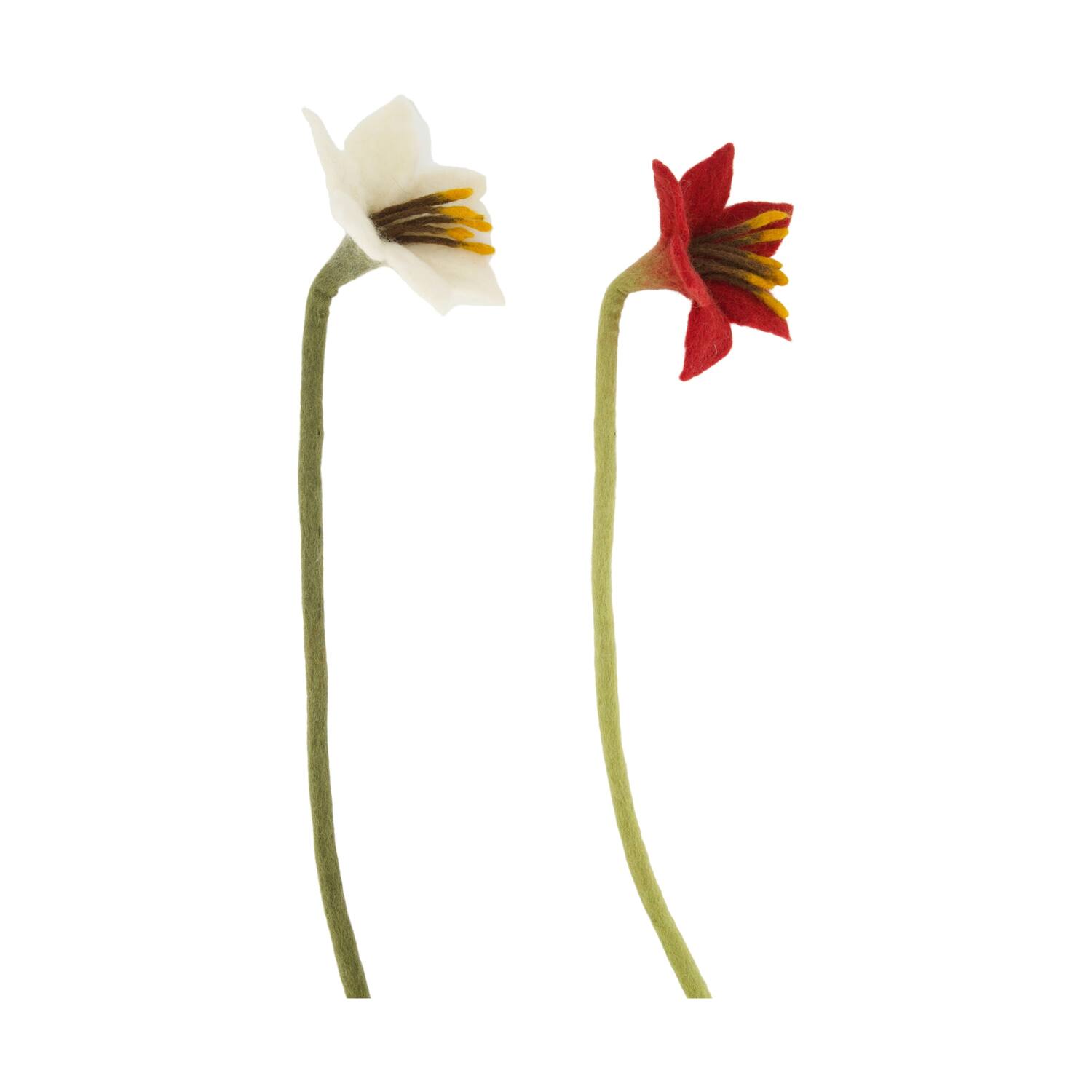 Flower amaryllis wool 14x14x58cm C/2