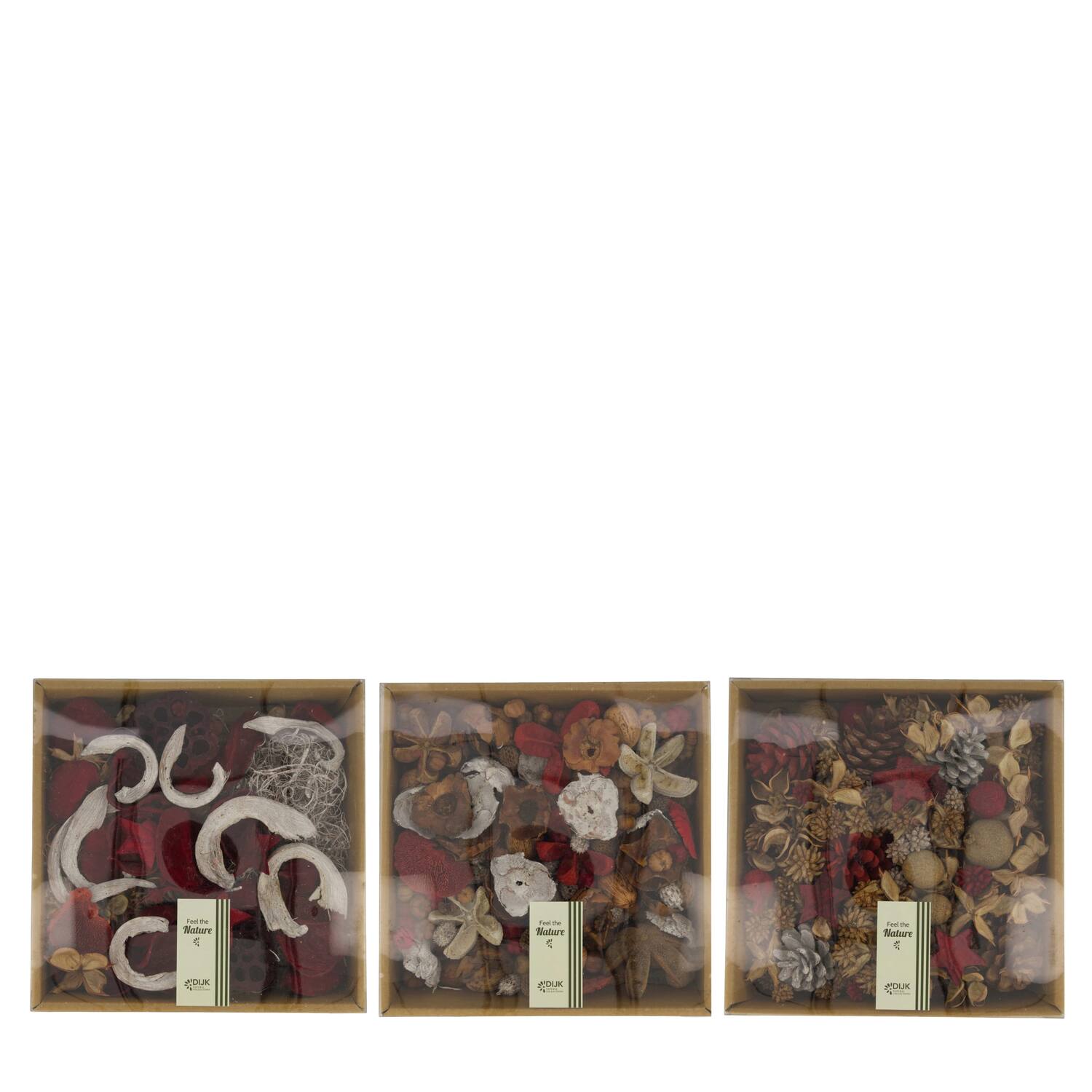 Exotic mix in tray nature 25.5x25.5x7.5cm A/3