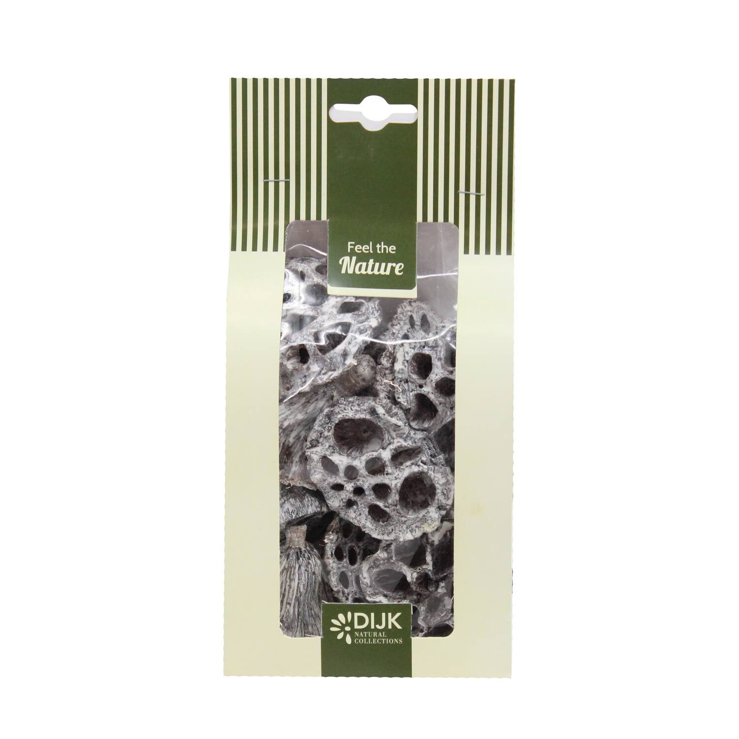 Lotus mini nature 10x5x22cm 10pc - White