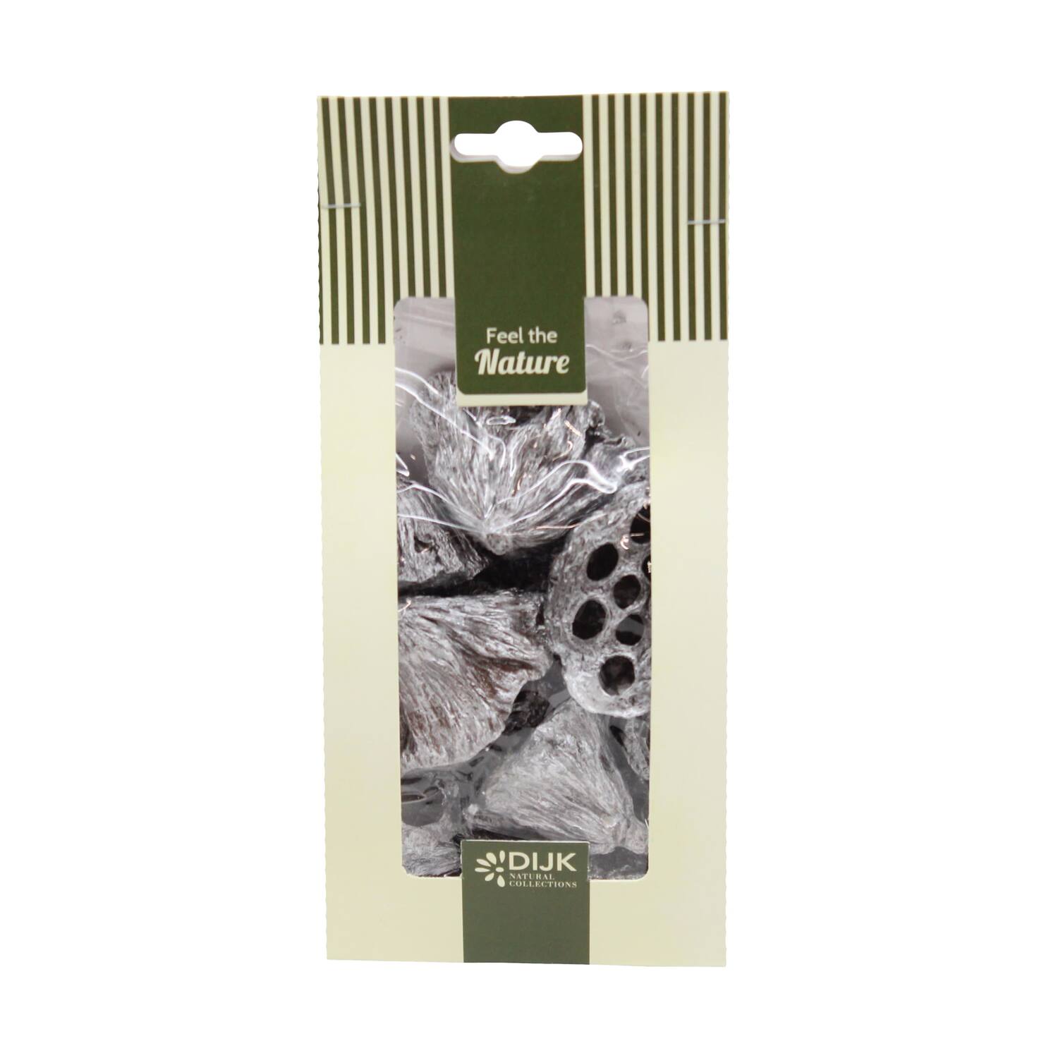Lotus mini nature 10x5x22cm 10pc - Silver