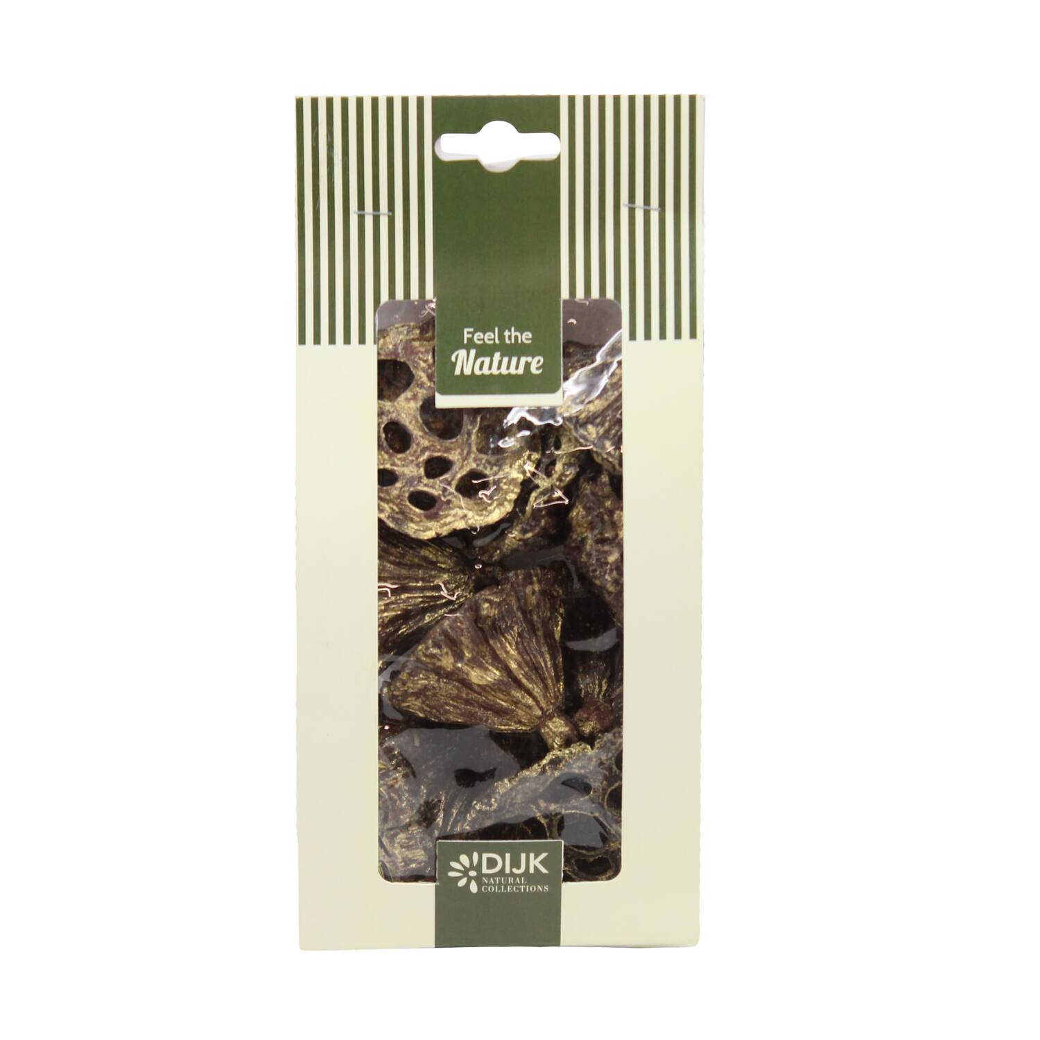 Lotus mini nature 10x5x22cm 10pc - Gold