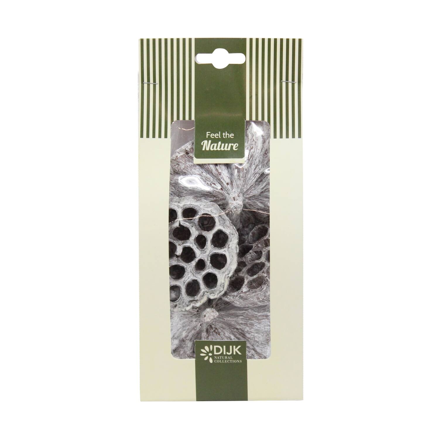 Lotus nature 10x5x22cm 4pc - White