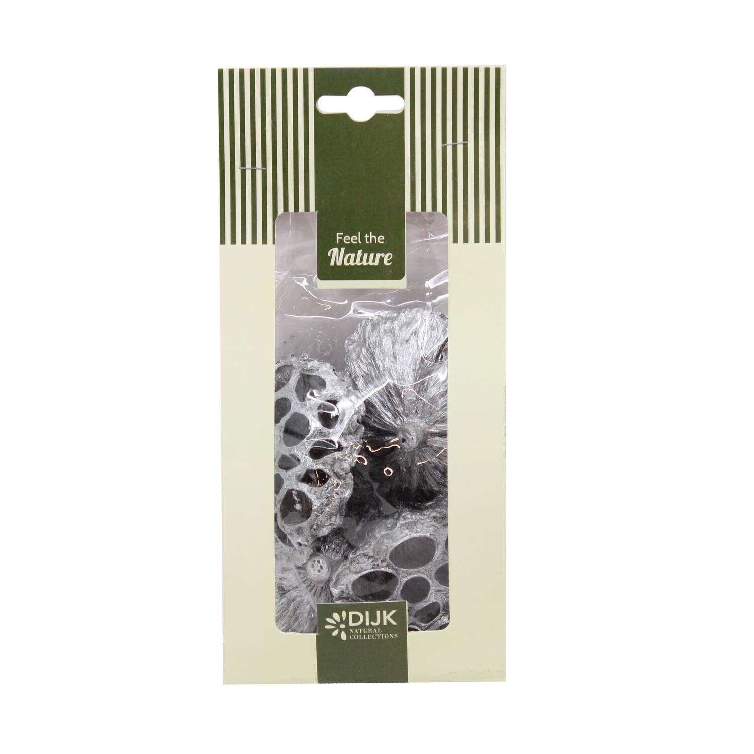 Lotus nature 10x5x22cm 4pc - Silver