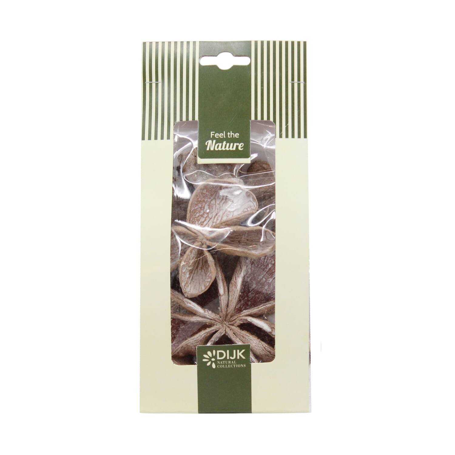 Landlotus nature 10x5x22cm 4pc