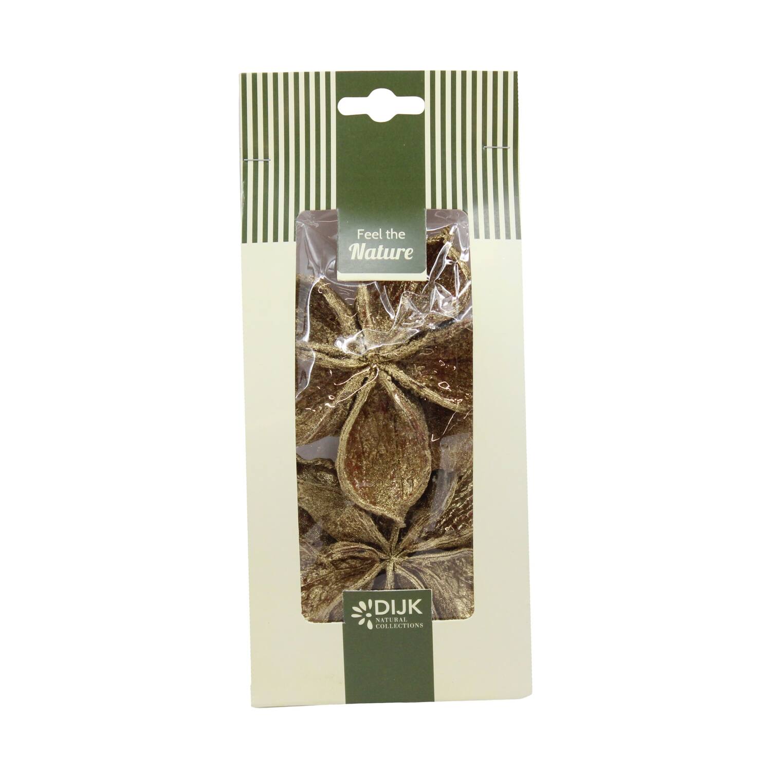 Landlotus nature 10x5x22cm 4pc - Gold