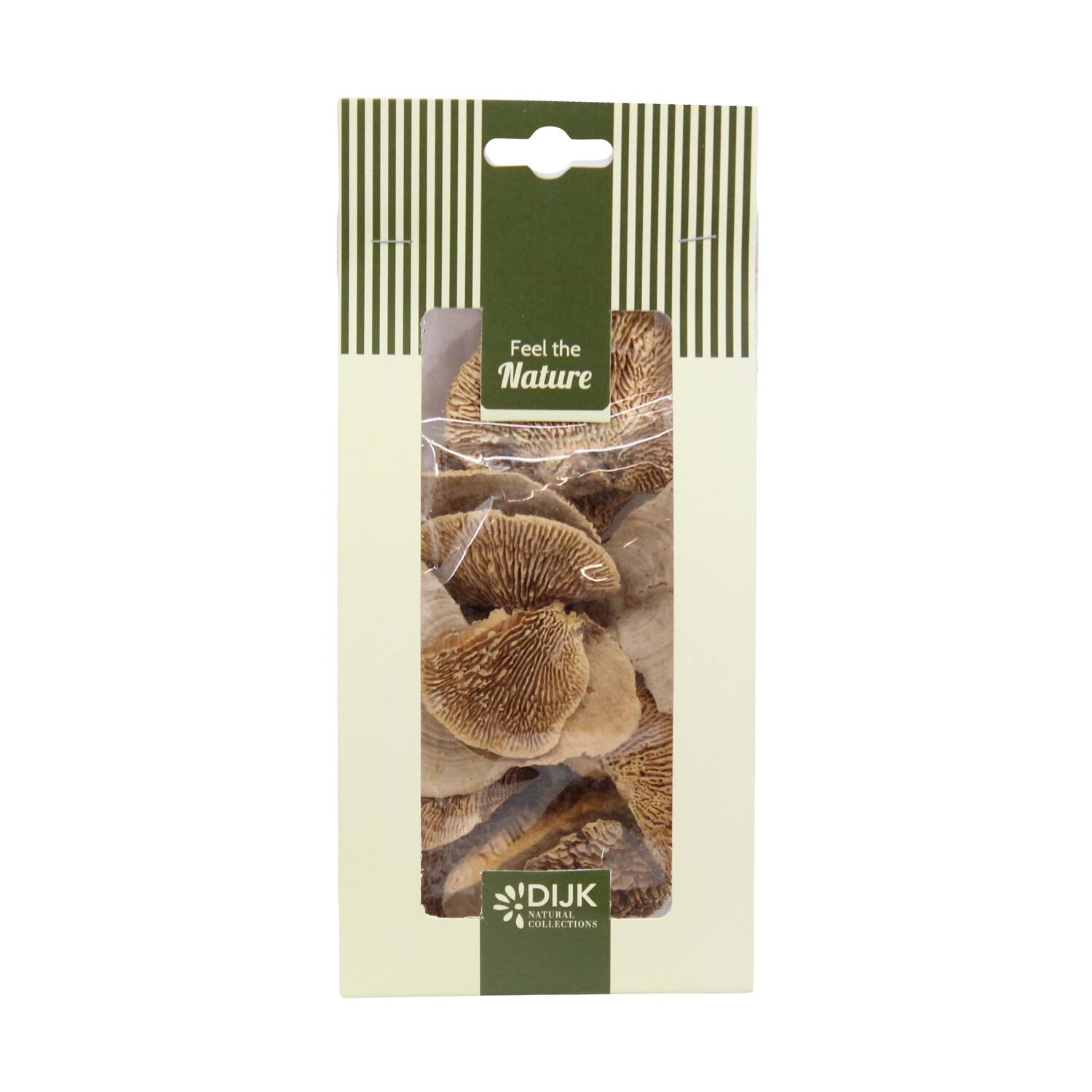 Mushroom sponge nature 10x5x22cm 50gr - Natural