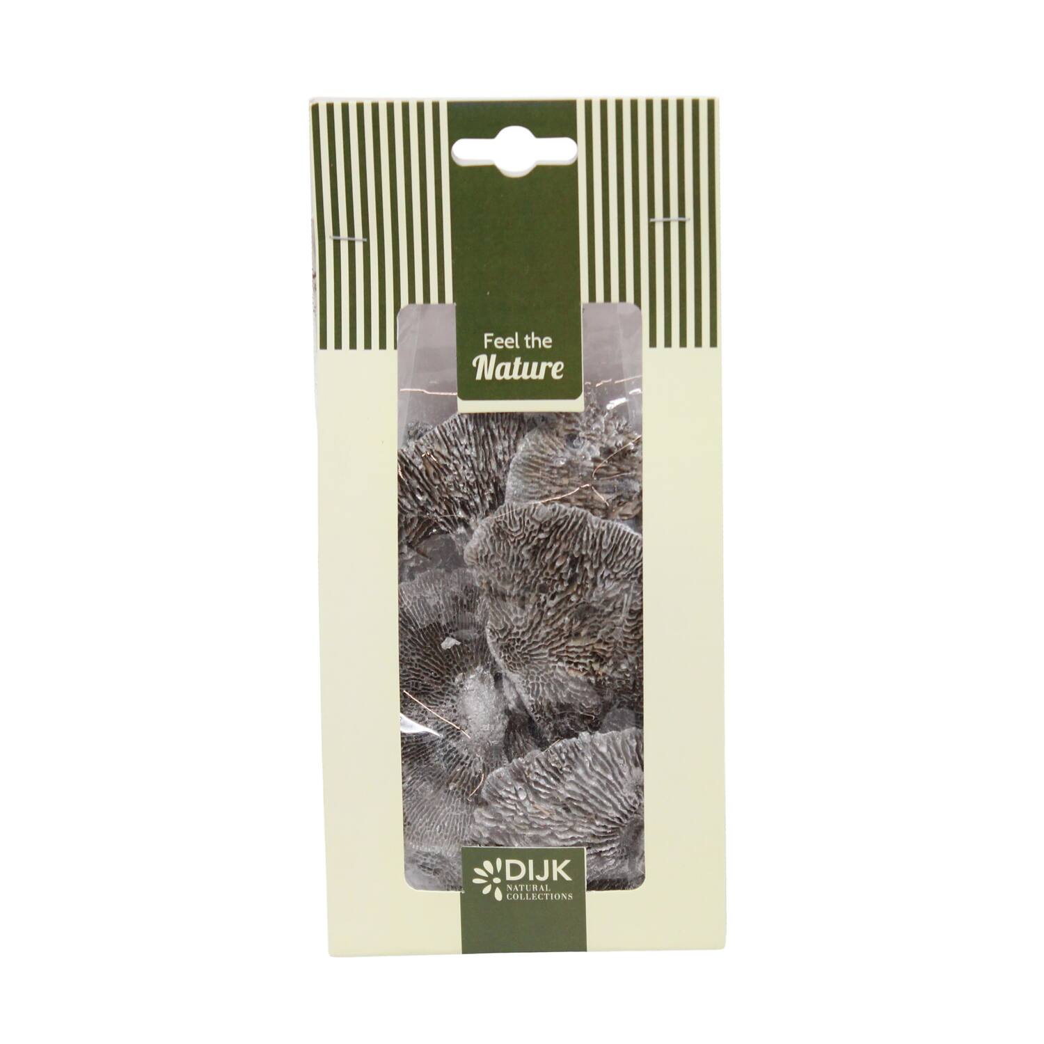 Mushroom sponge nature 10x5x22cm 50gr