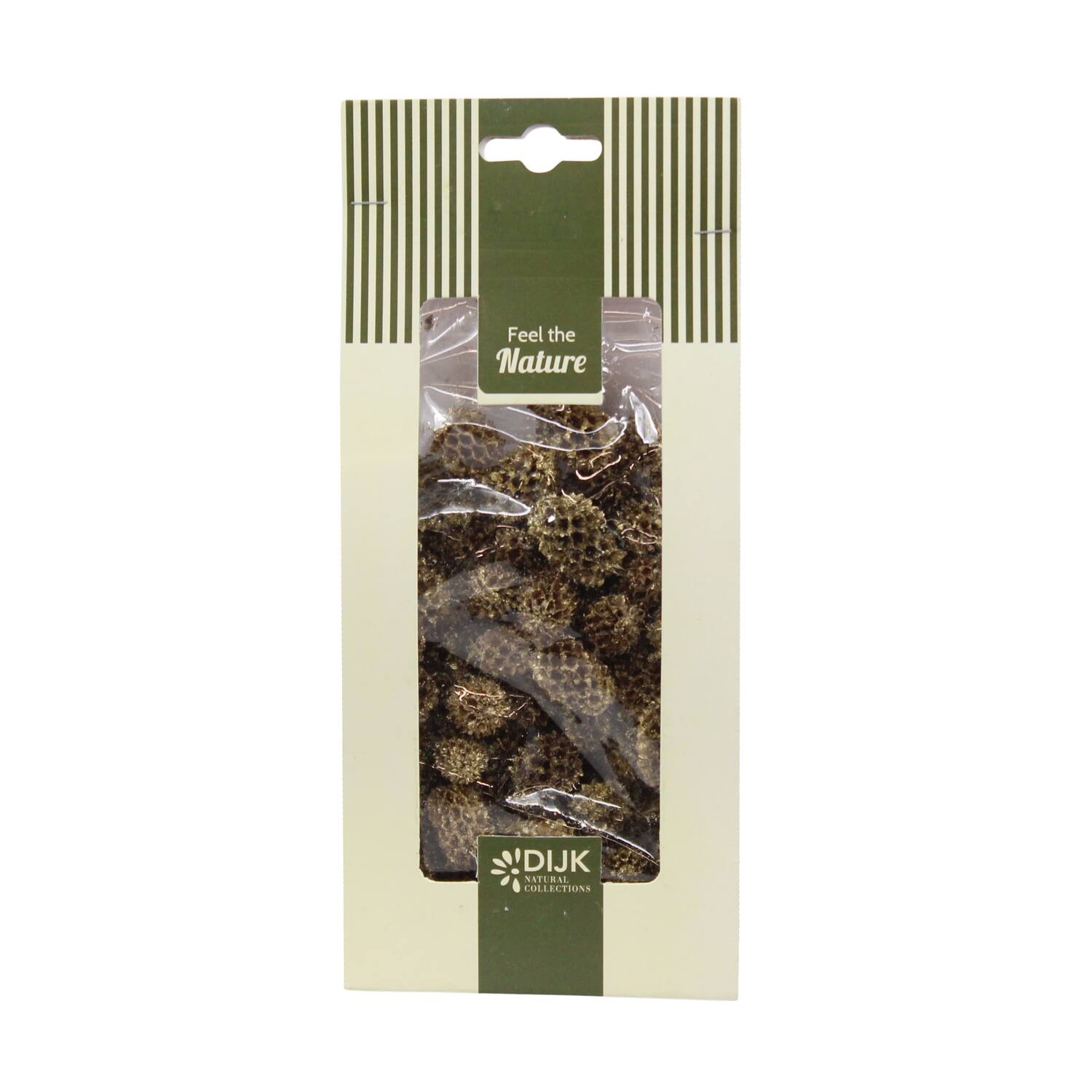 Casuarina nature 10x5x22cm 100gr