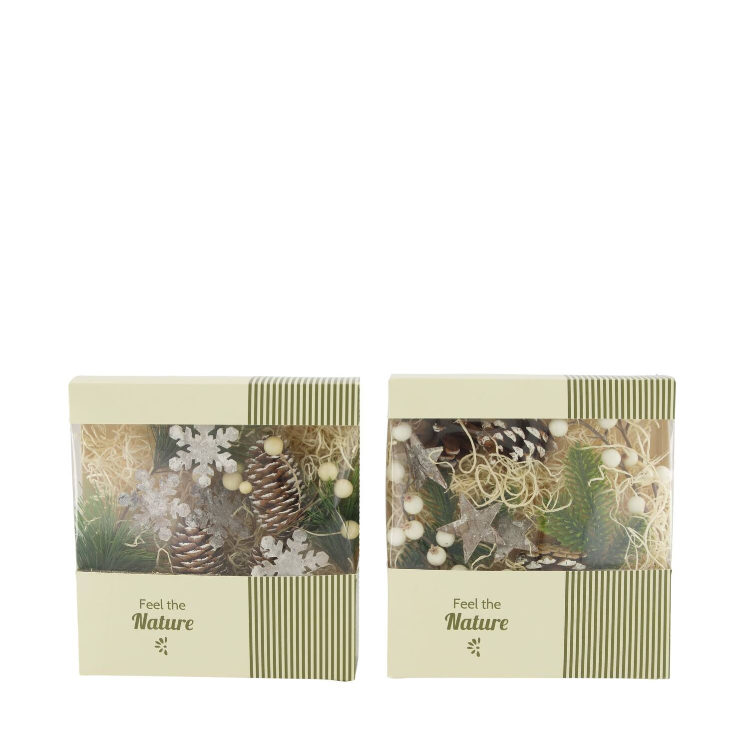 Box mixed nature 18x6x19cm A/2
