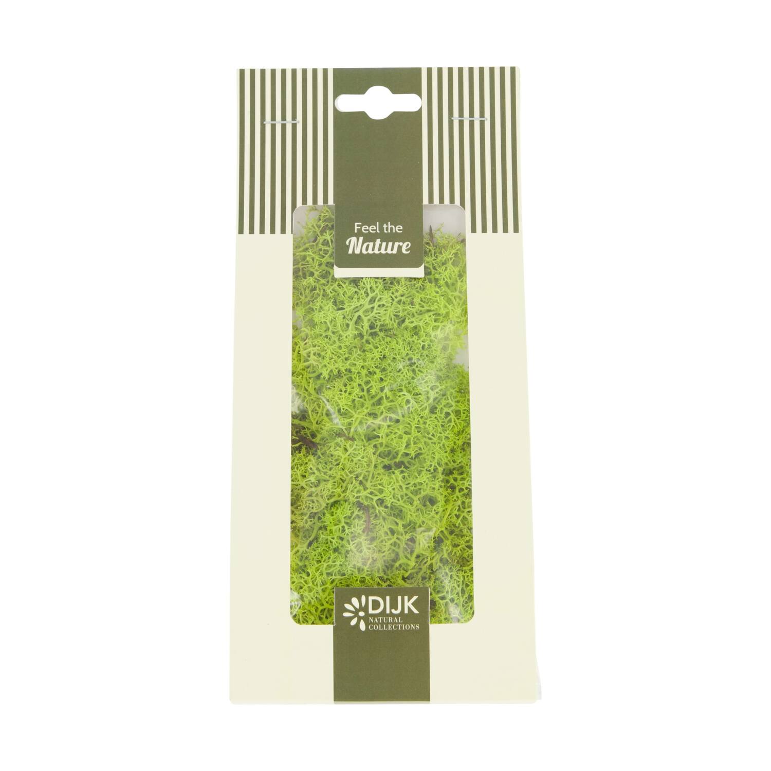 Moss reindeer 30gr nature 10x4x22cm