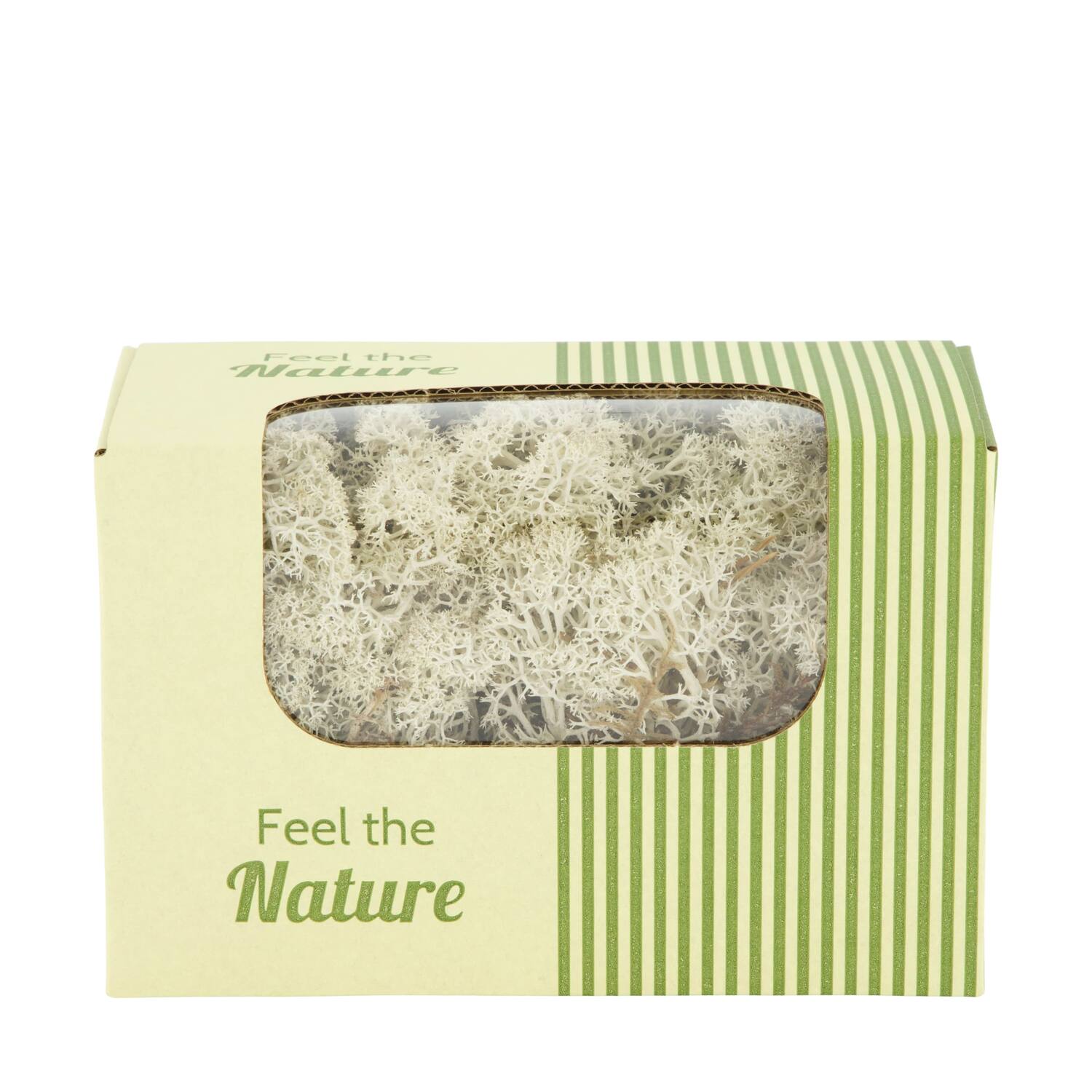 Moss reindeer 50gr nature 14x8x10cm - Natural