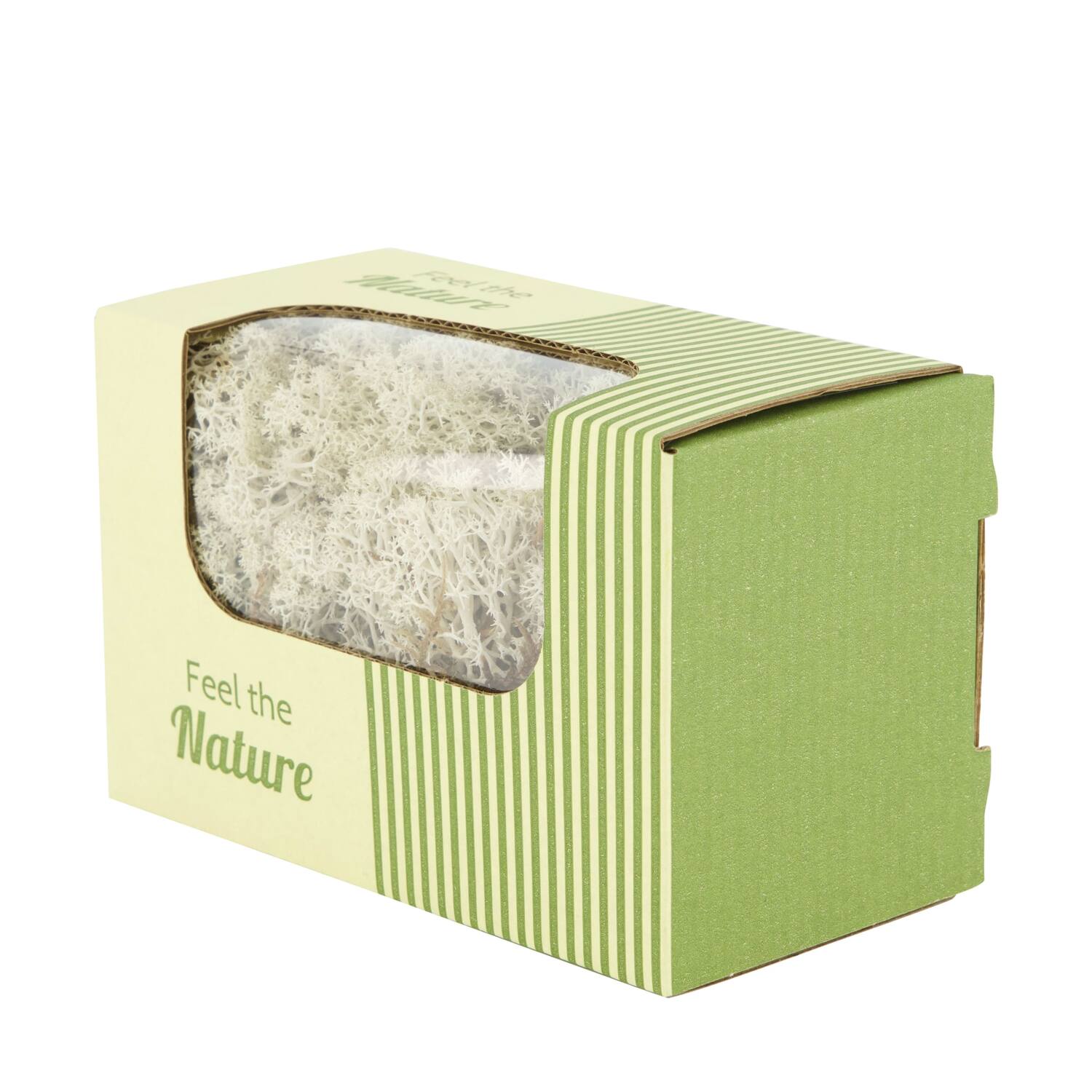 Moss reindeer 50gr nature 14x8x10cm - Natural