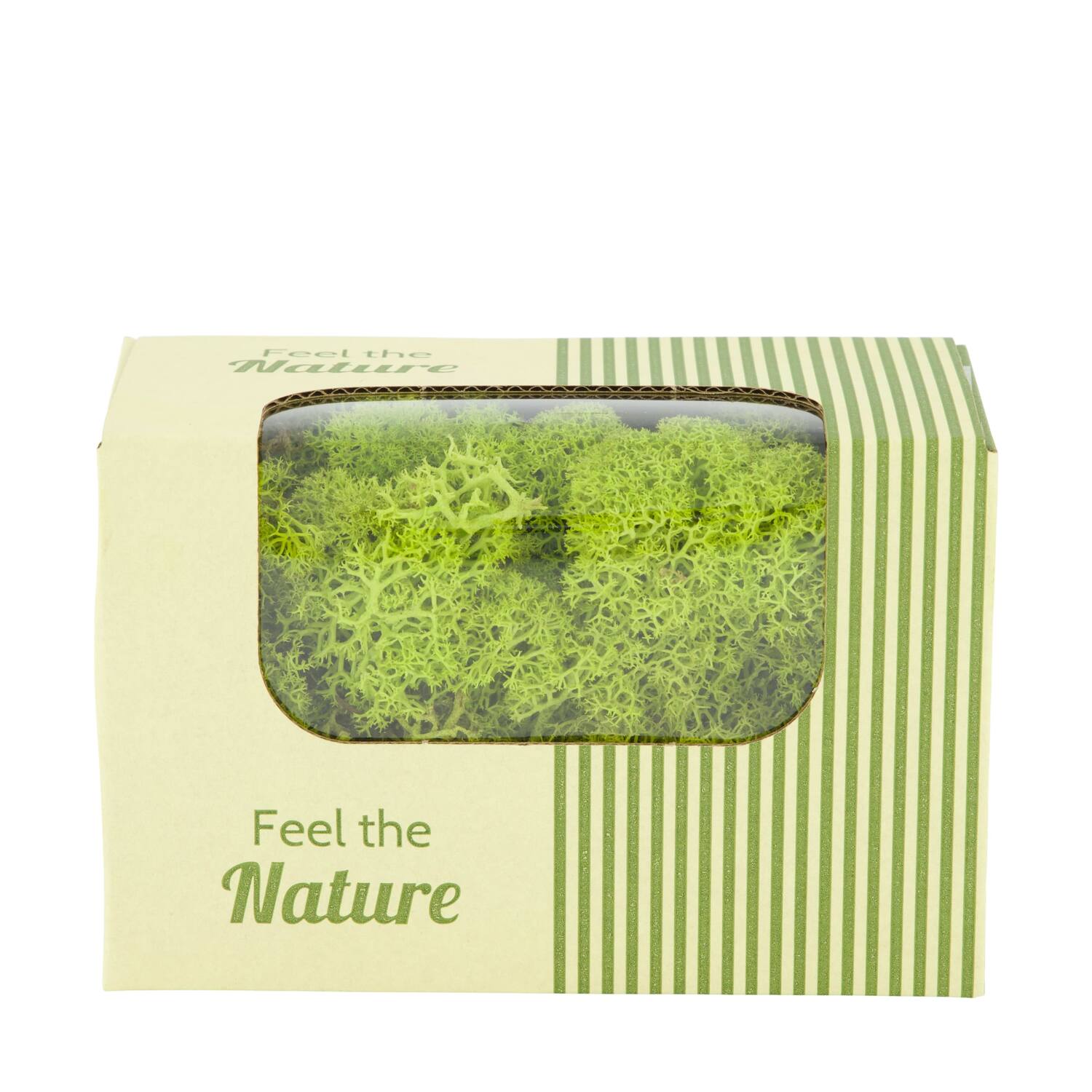 Moss reindeer 50gr nature 14x8x10cm - Green