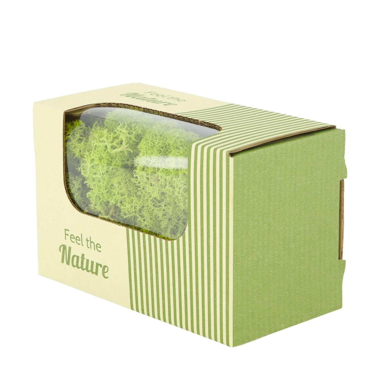 Moss reindeer 50gr nature 14x8x10cm - Green