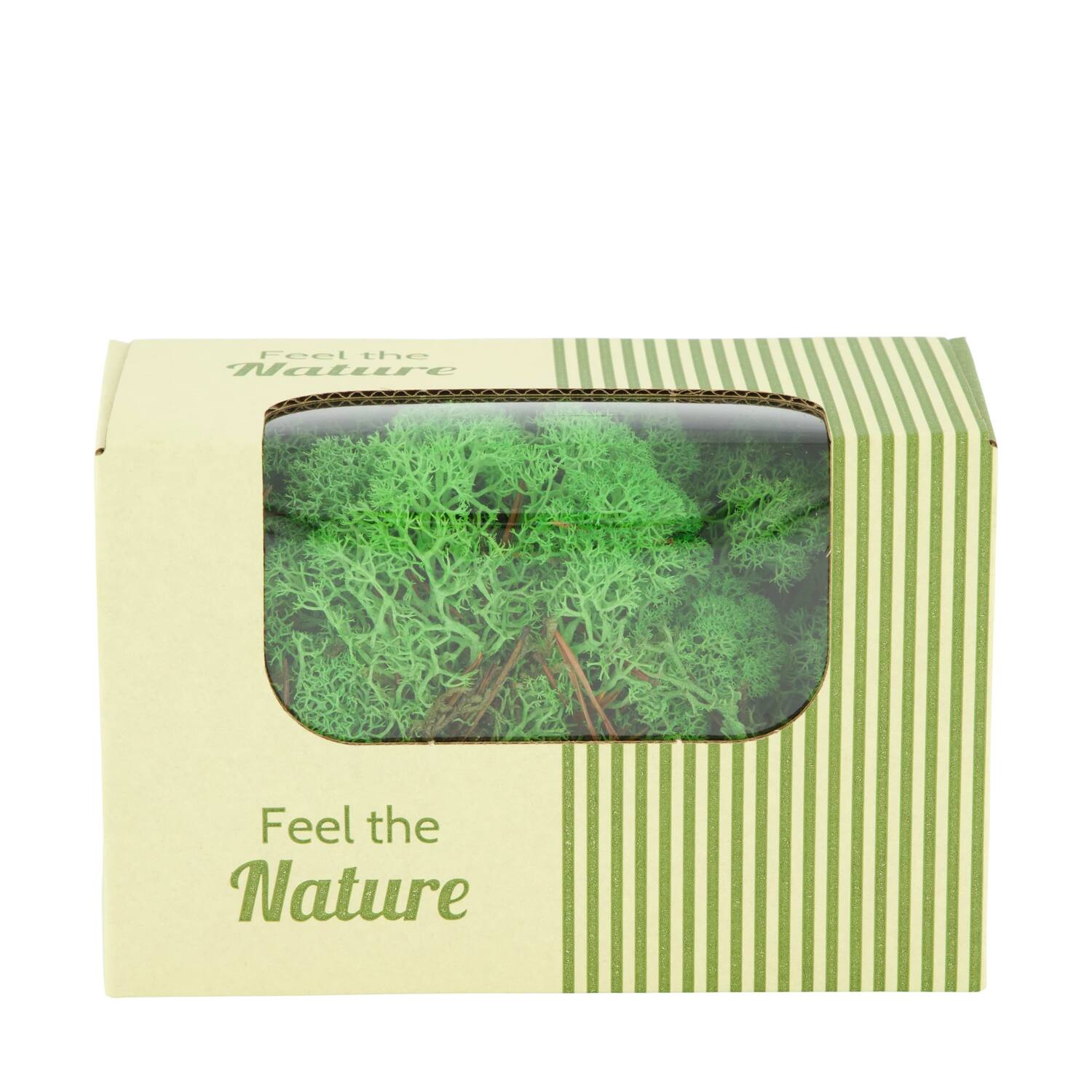 Moss reindeer 50gr nature 14x8x10cm - Green
