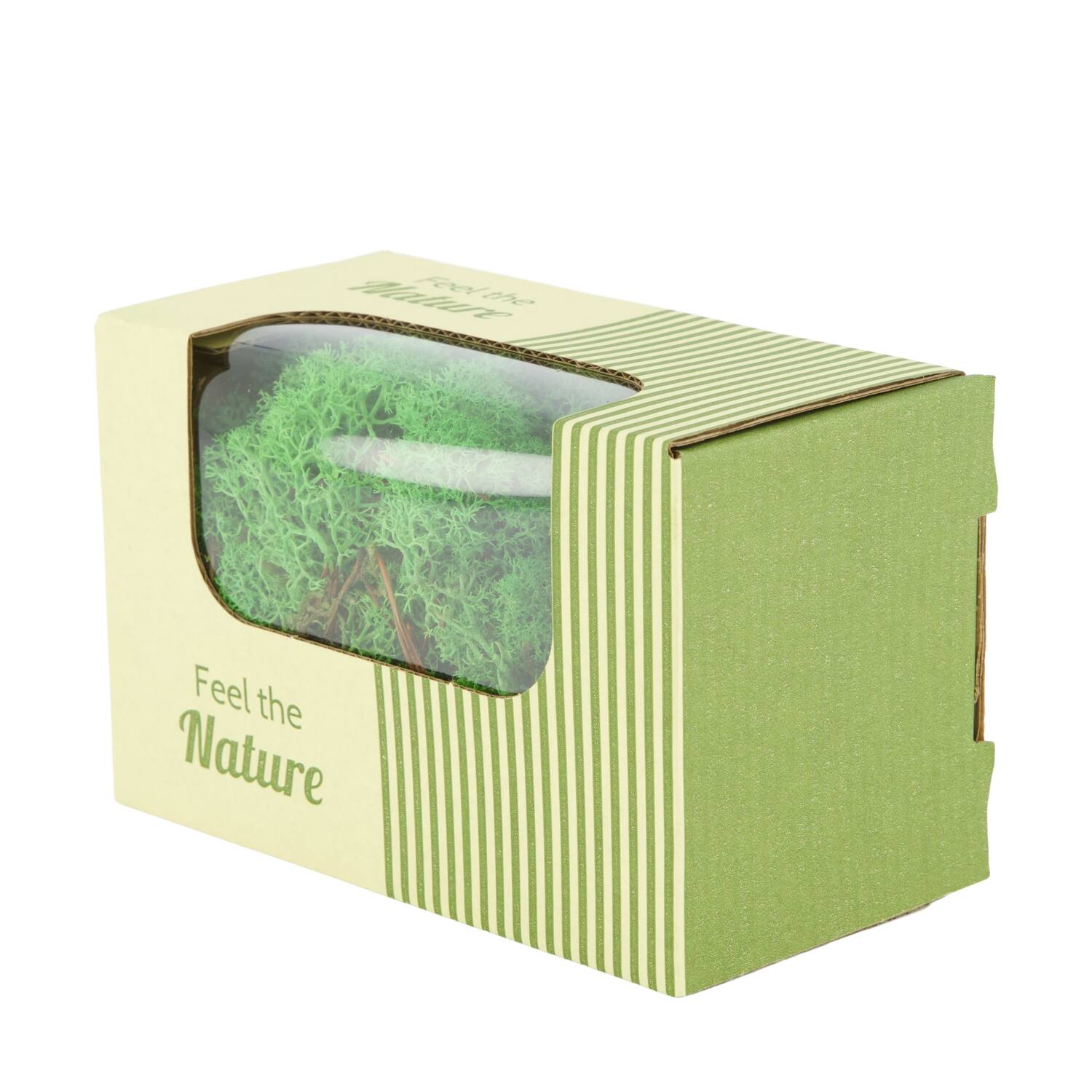 Moss reindeer 50gr nature 14x8x10cm - Green