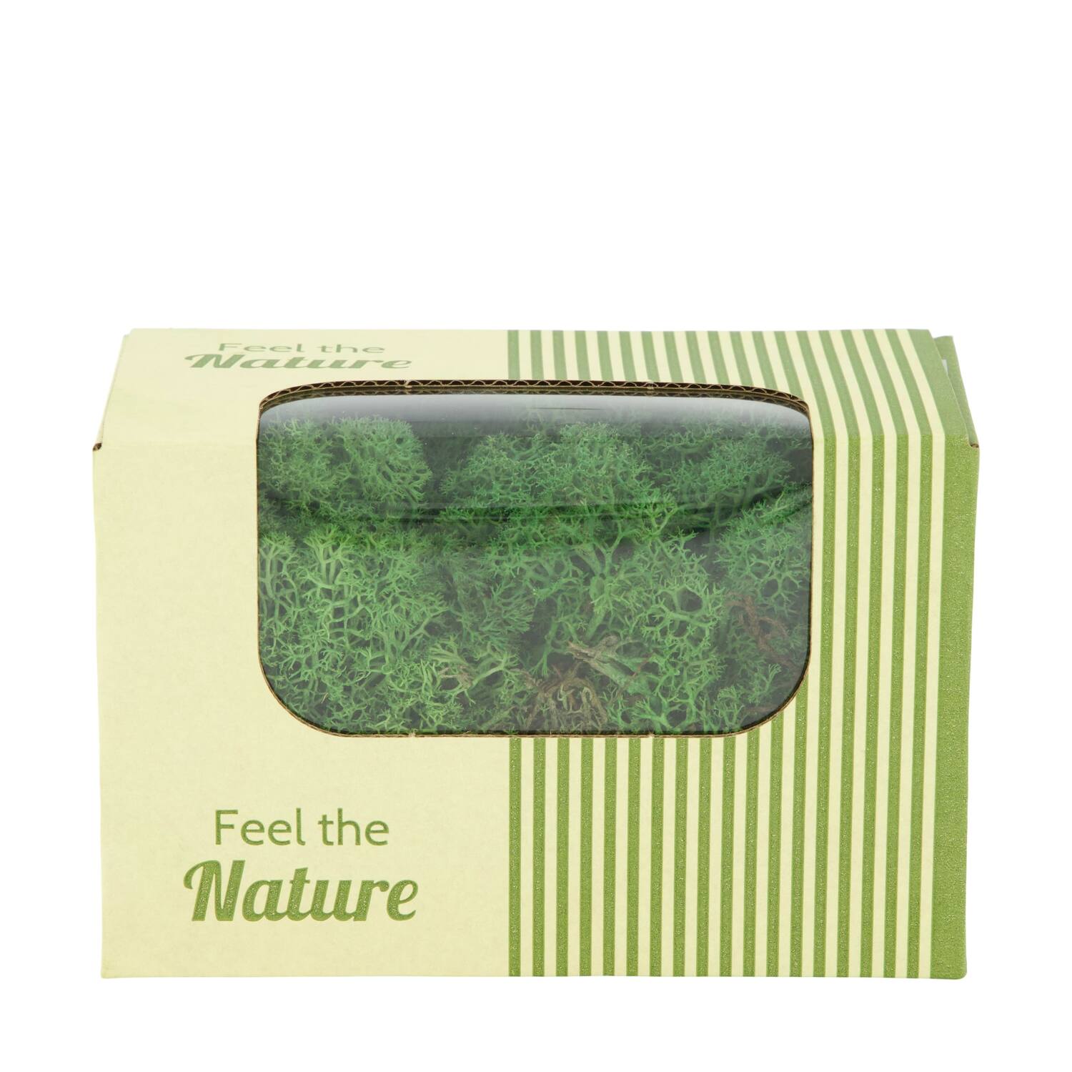 Moss reindeer 50gr nature 14x8x10cm - Green