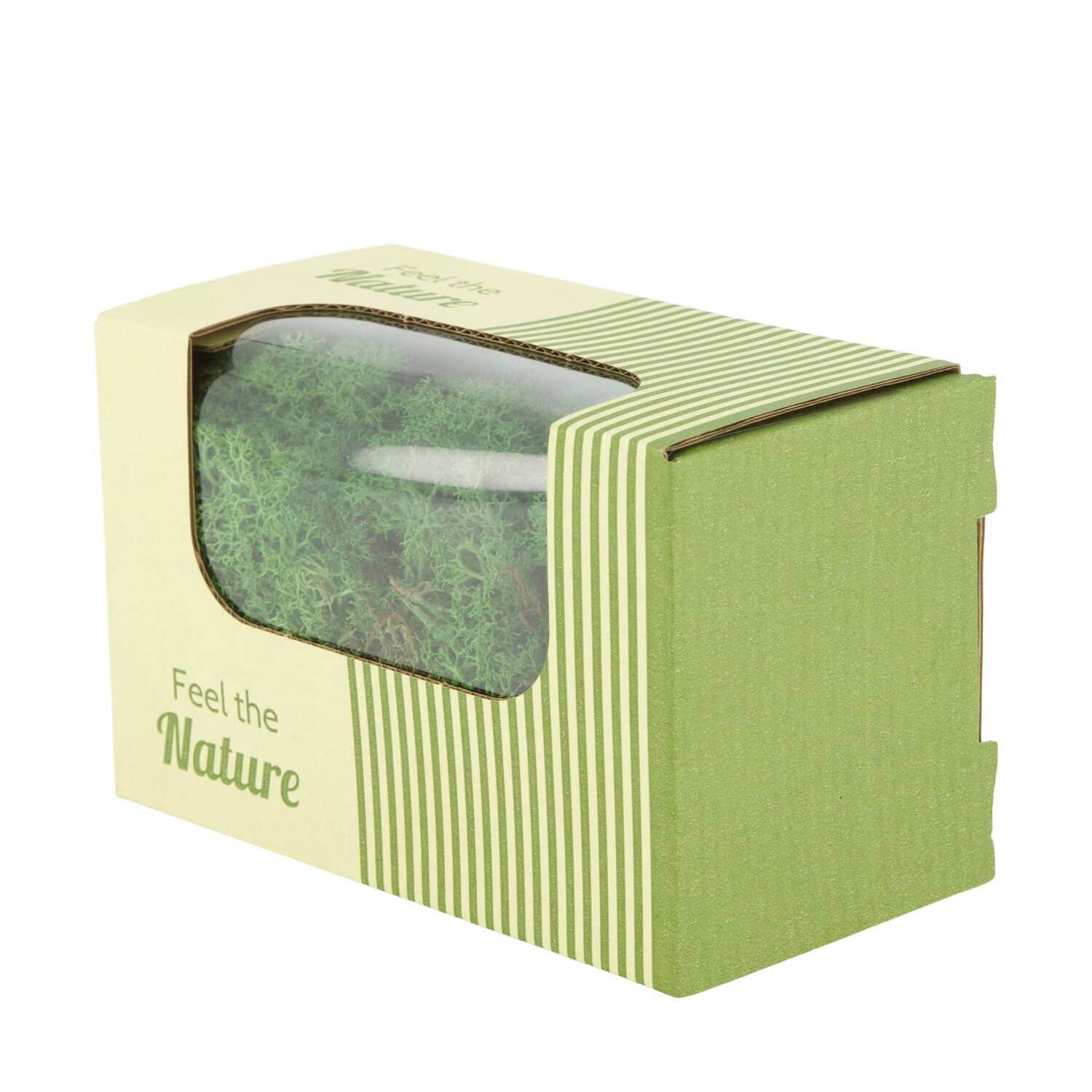 Moss reindeer 50gr nature 14x8x10cm - Green