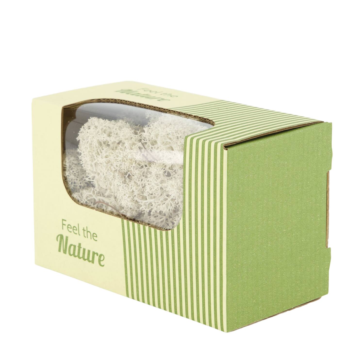 Moss reindeer 50gr nature 14x8x10cm - Green