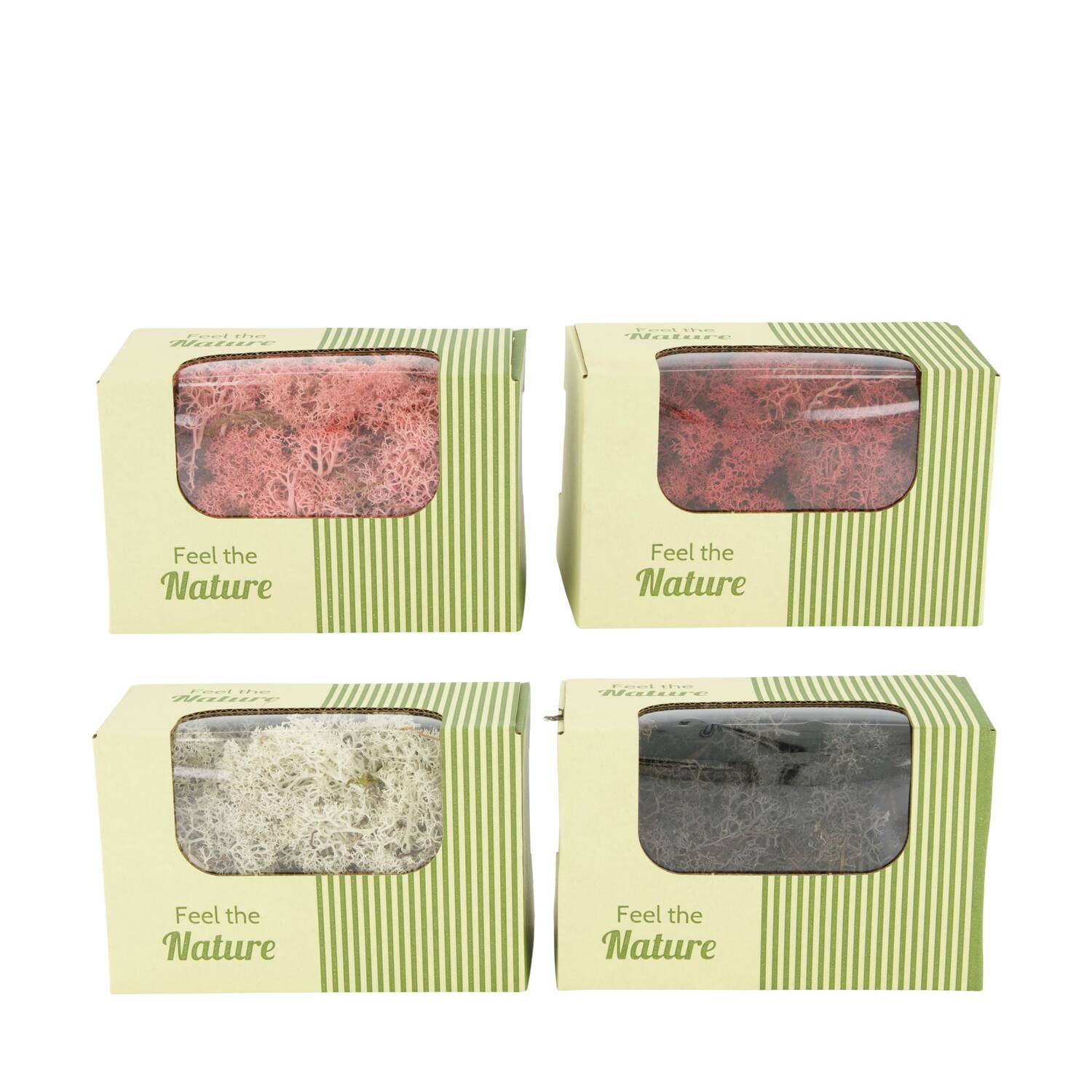 Moss reindeer 50gr nature 14x8x10cm  - Multi