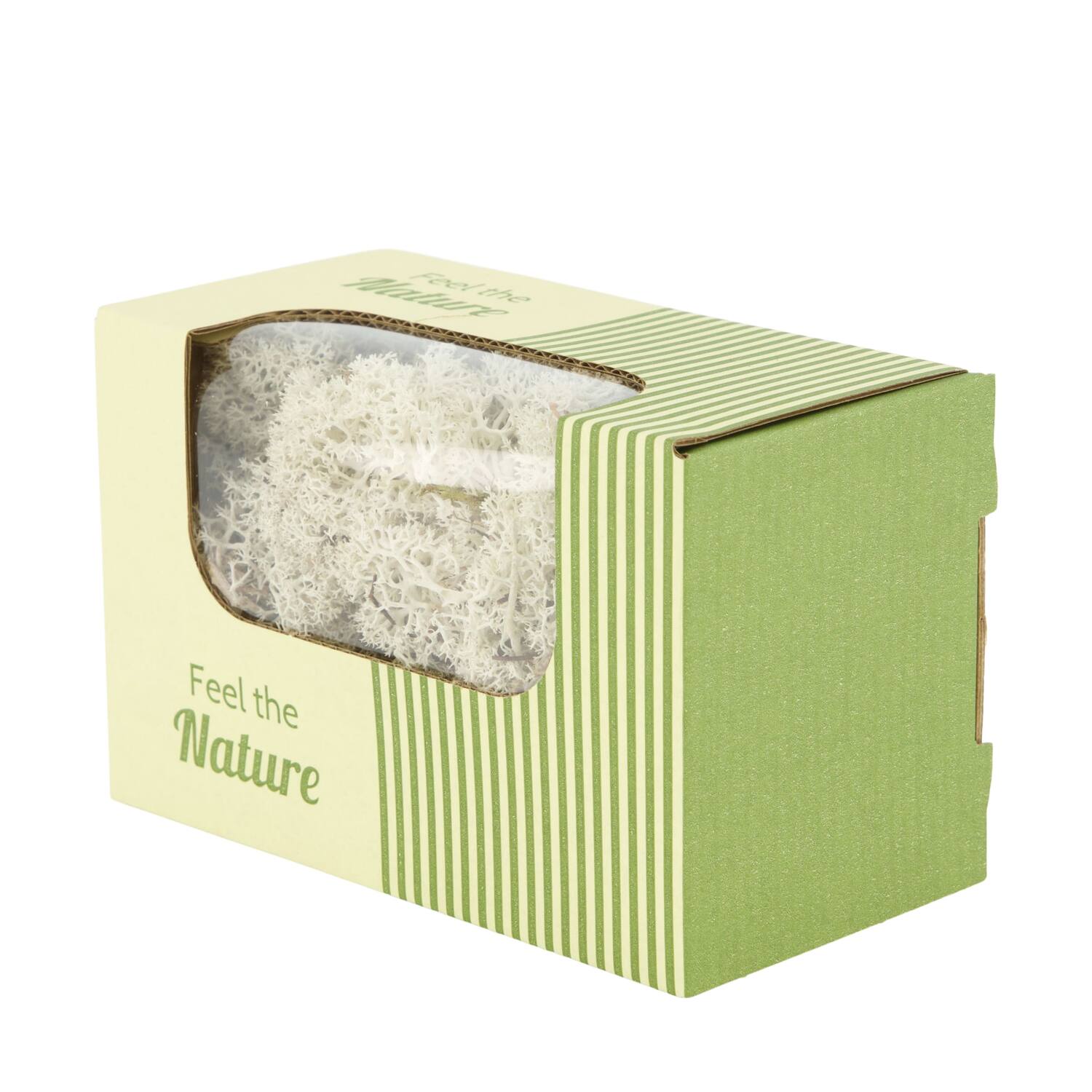 Moss reindeer 50gr nature 14x8x10cm  - Multi