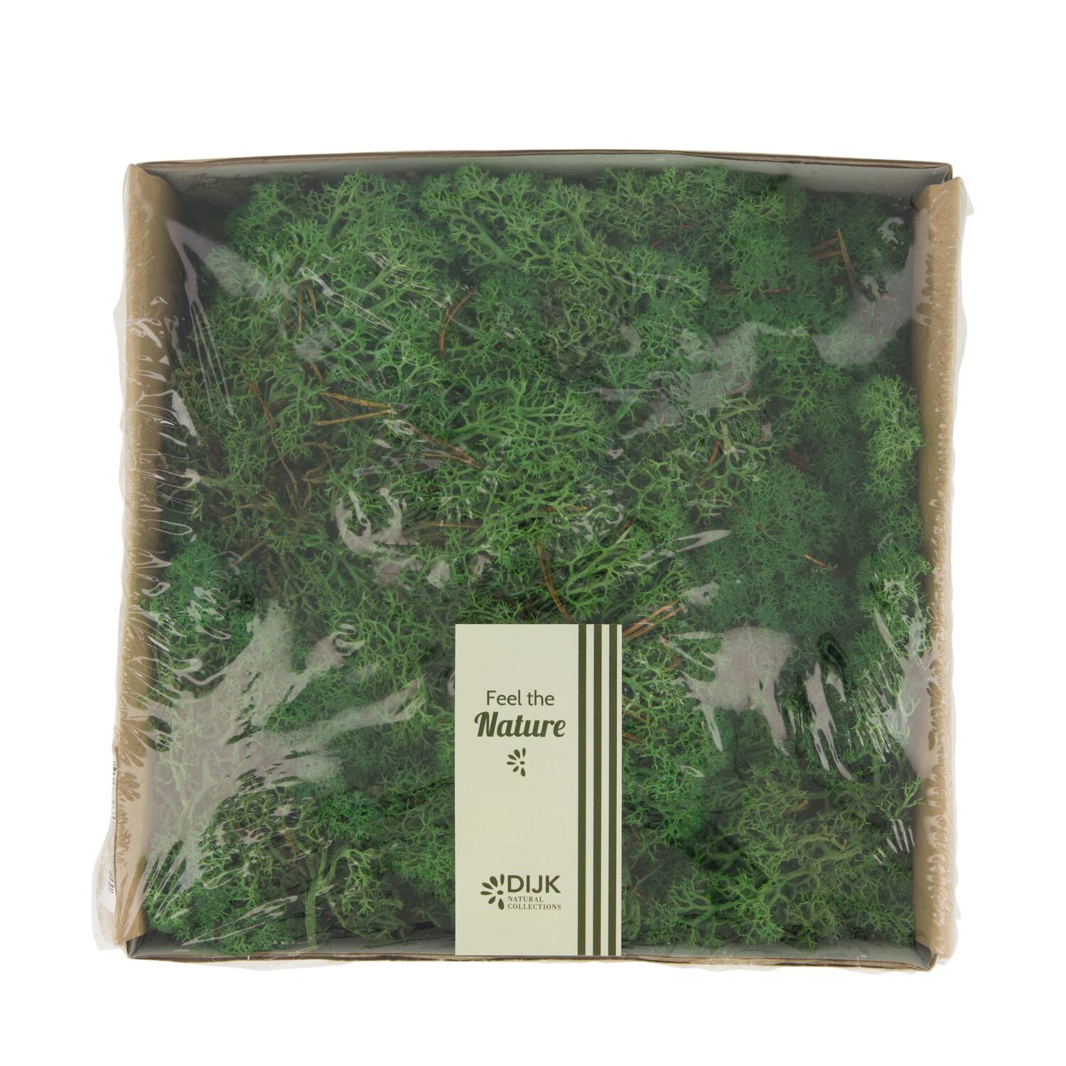 Moss reindeer 250gr nature 19x19x7cm