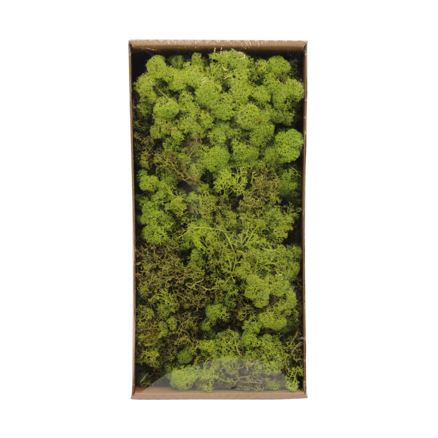 Moss reindeer 500gr nature 38x19x9cm