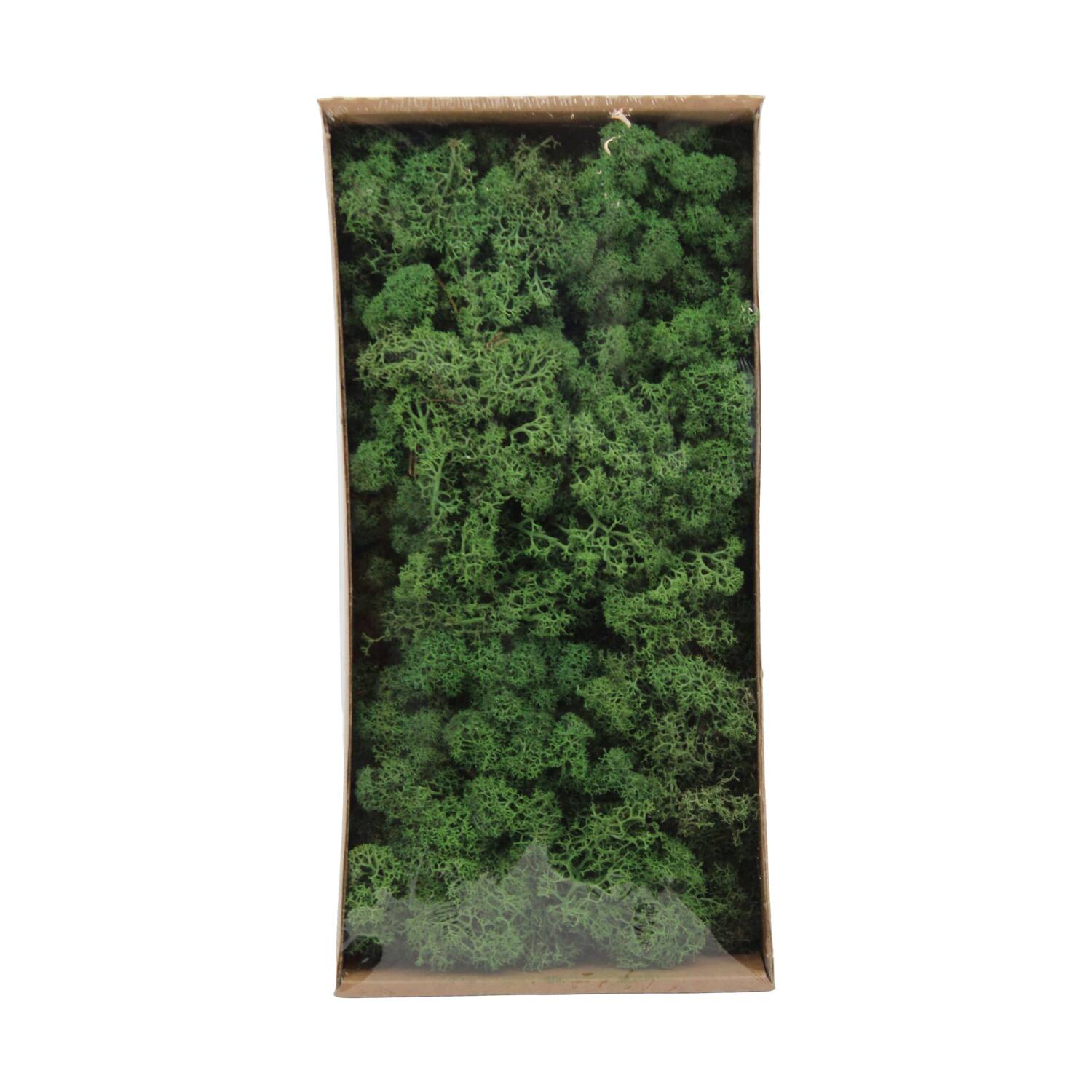 Moss reindeer 500gr nature 38x19x9cm