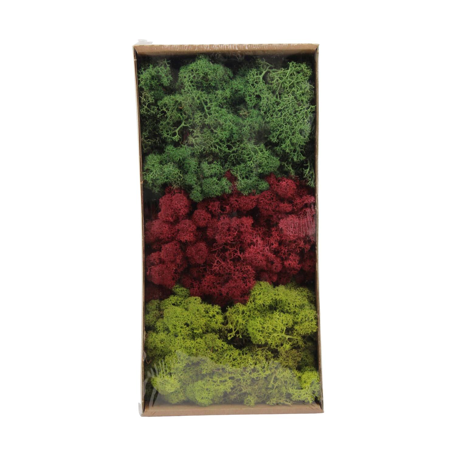 Moss reindeer 500gr nature 38x19x9cm