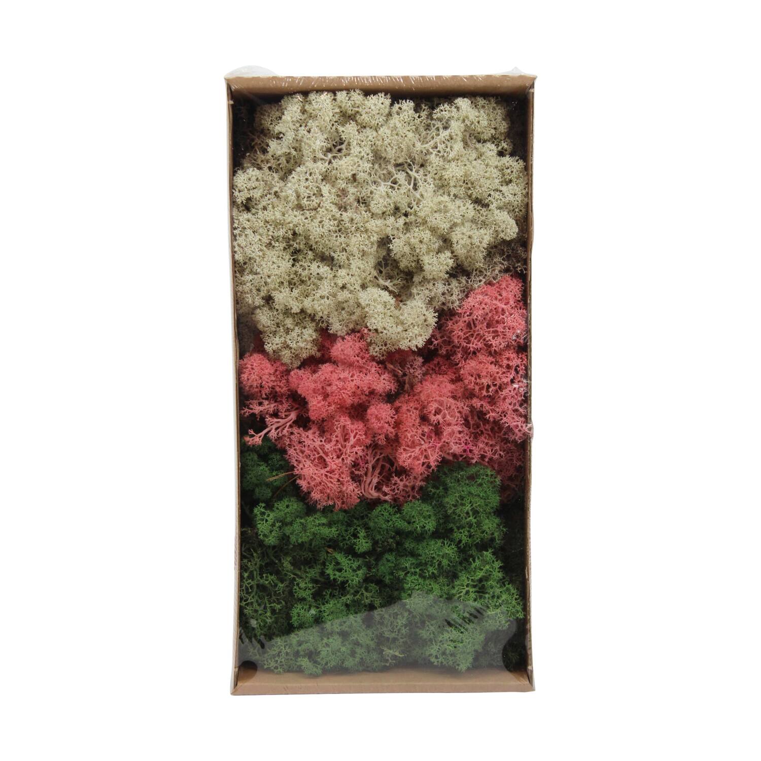 Moss reindeer 500gr nature 38x19x9cm