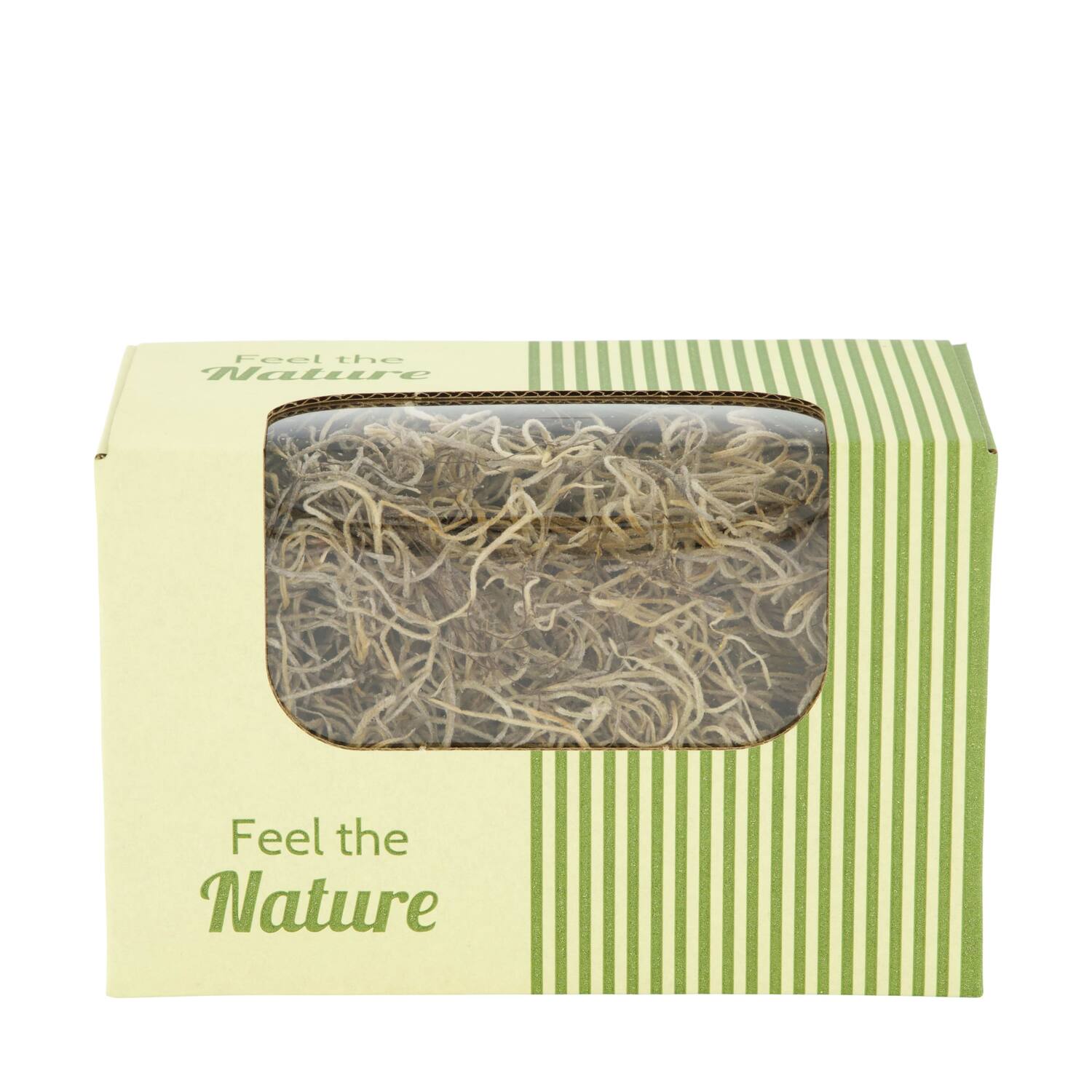 Moss tillandsia 50gr nature 14x8x10cm