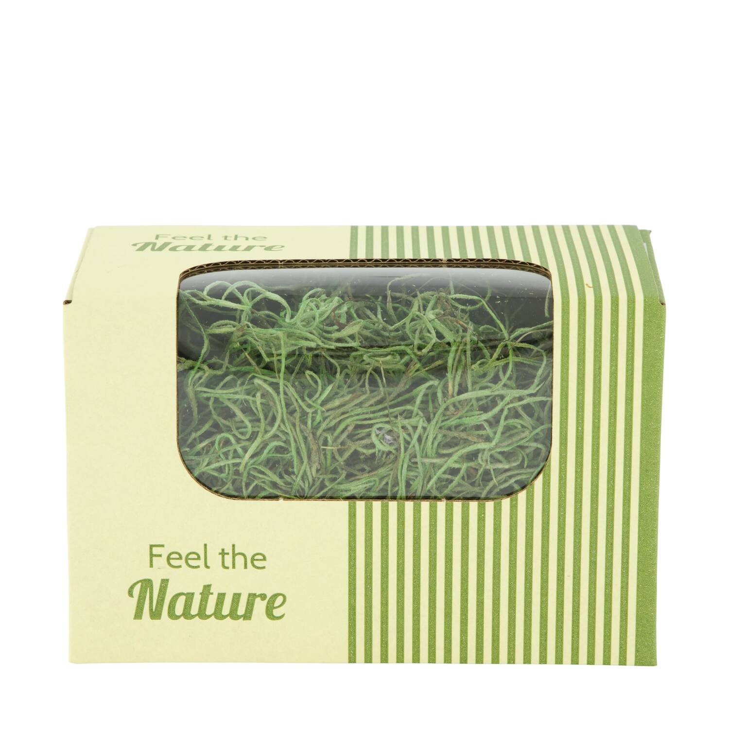 Moss tillandsia 50gr nature 14x8x10cm - Green