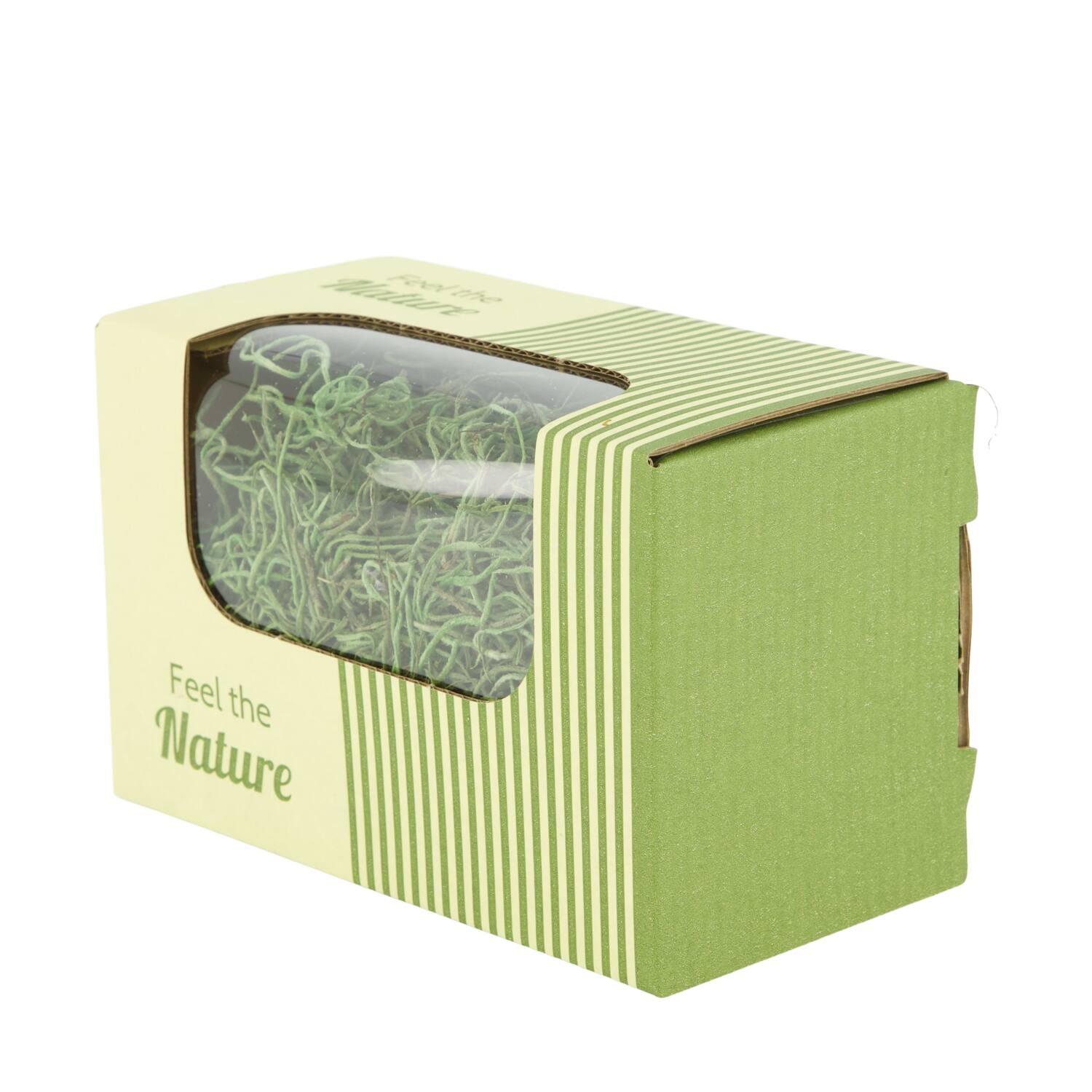 Moss tillandsia 50gr nature 14x8x10cm - Green