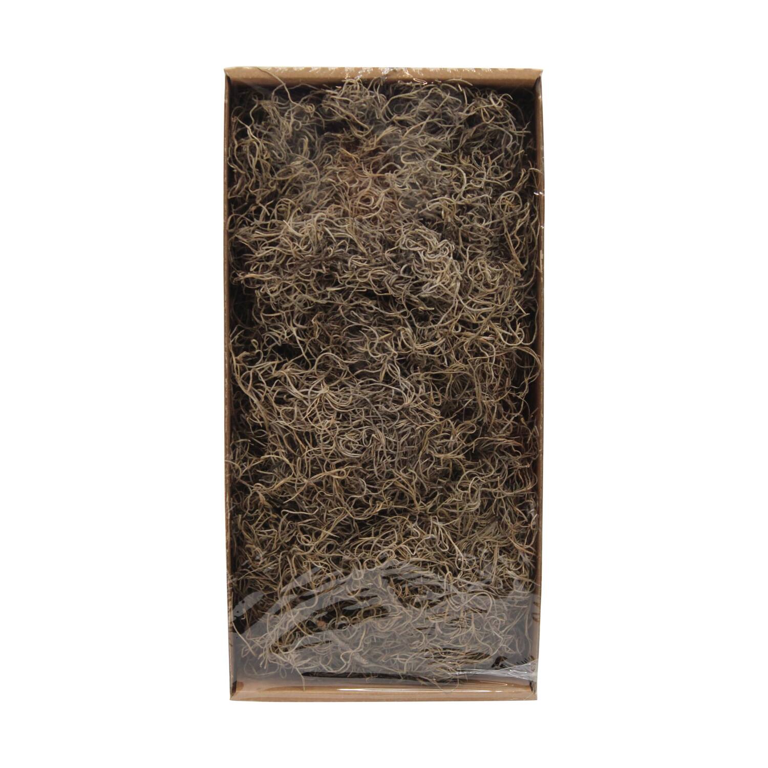 Moss tillandsia 500gr nature 38x19x9cm